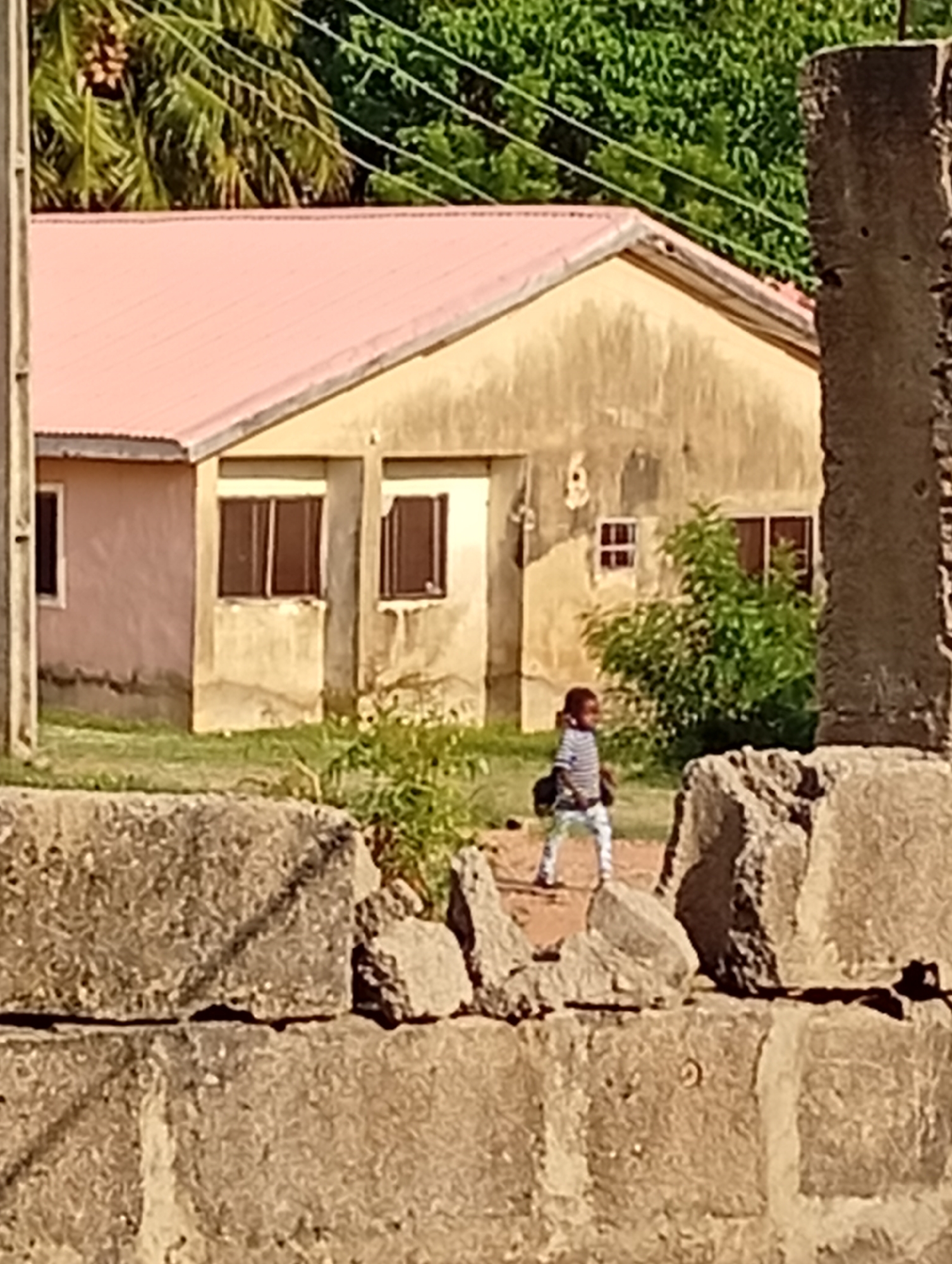The image captures an outdoor scene in Adankolo, Nigeria, featuring a young child walking in front of a house under bright daylight.
In the foreground, a rough-hewn concrete block wall or barrier spans the bottom of the frame, partially obscuring the view. These blocks exhibit a coarse, textured surface.
The midground is dominated by a one-story house with light brown or tan-colored walls that show signs of wear and discoloration. The roof is made of red or pink corrugated metal. Several rectangular windows with dark frames or shutters are visible on the front facade. An adjacent section of the house to the left appears to be painted a lighter pink. A small, vibrant green bush grows in front of the house, near its center.
A young child, appearing to be a toddler or preschooler, is seen walking on a dirt path or patch of ground in front of the house. The child is wearing a striped shirt and patterned light-colored pants. Due to the distance and resolution, specific facial features or emotions are not discernible.
In the background, lush green foliage, including palm-like trees with a cluster of fruit visible at the upper left, fills the upper portion of the frame. Thin power lines crisscross overhead. A slender utility pole stands vertically on the left side, and a thick, rough concrete pillar or post partially frames the right side of the image. The time of day appears to be sunny, suggesting clear weather. There is no visible text in the image.