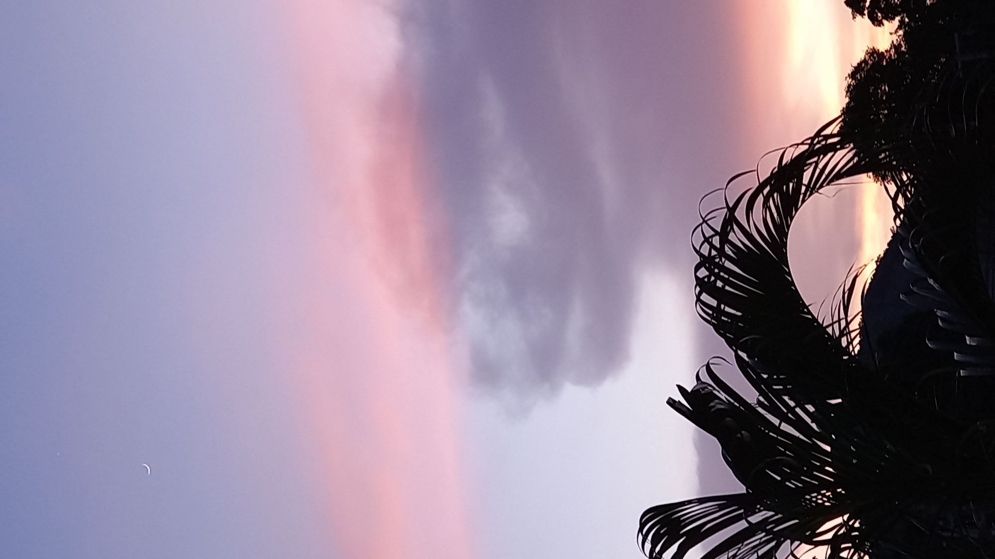 A vertical, low-angle, full outdoor shot captures a twilight sky over Ko Pha-ngan District, Thailand. A thin, crescent moon is visible in the upper left corner of the sky, which transitions from light lavender at the top to pink and orange hues at the bottom. Silhouetted against the sky in the foreground are the fronds of a palm tree and other foliage. A dark, rounded hill is visible behind the foliage in the distance. The scene is overcast with some darker clouds mixed with lighter, pinkish clouds.