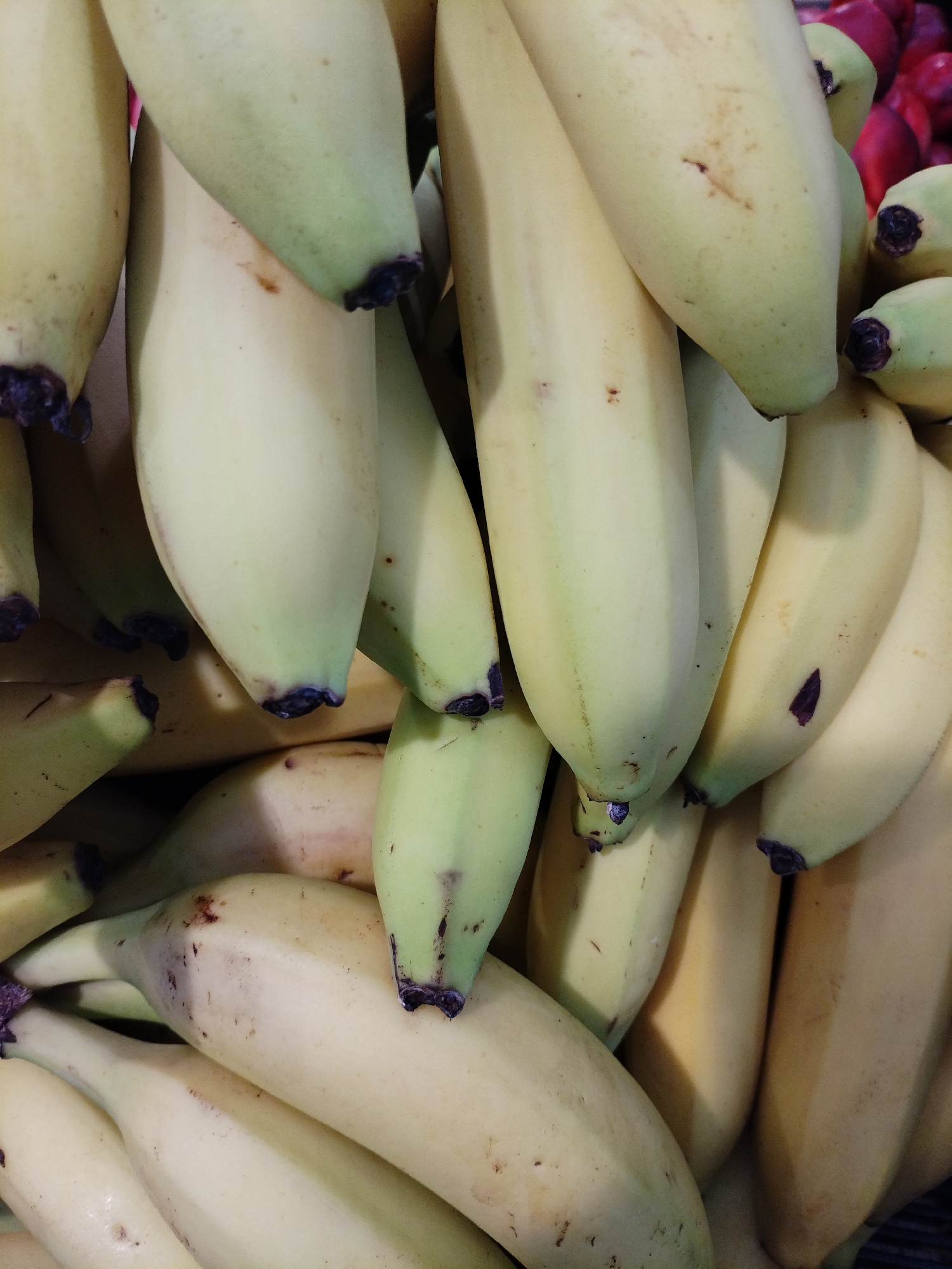 The image displays a close-up, overhead view of a pile of ripe bananas. The bananas are predominantly yellow with some greenish tips, indicating they are at varying stages of ripeness. Some bananas exhibit small brown spots. The fruits are packed closely together, obscuring the background. The scene is devoid of any human presence or specific identifiable landmarks. The context of Bialynichy, Belarus, is not visually represented within the image itself.