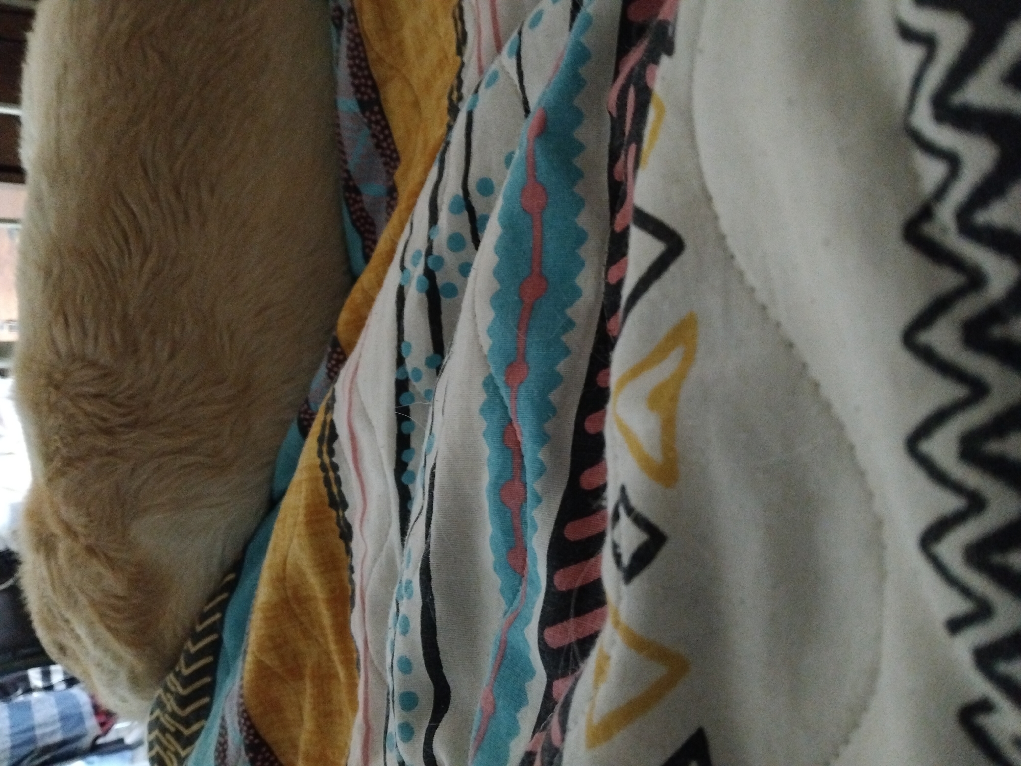 The image shows the back of a light-colored dog, possibly a golden retriever or a similar breed, lying on a bed with a patterned comforter. The comforter has a variety of geometric patterns, including zigzags, dots, and abstract shapes in colors such as yellow, blue, pink, and black, set against a white background. The dog's fur appears soft and wavy. The background is out of focus, but hints of clothing are visible, suggesting a domestic indoor setting. The image does not provide any information about the location being in Kyiv, Ukraine.