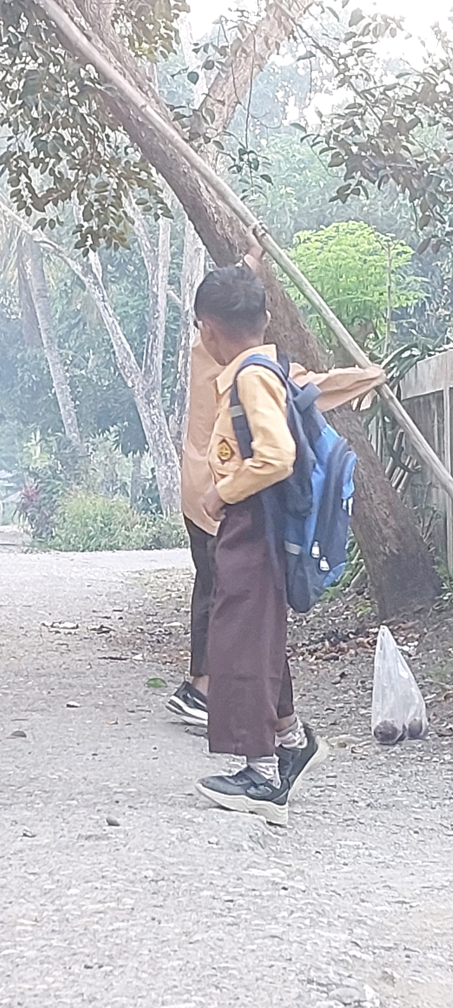Memory
