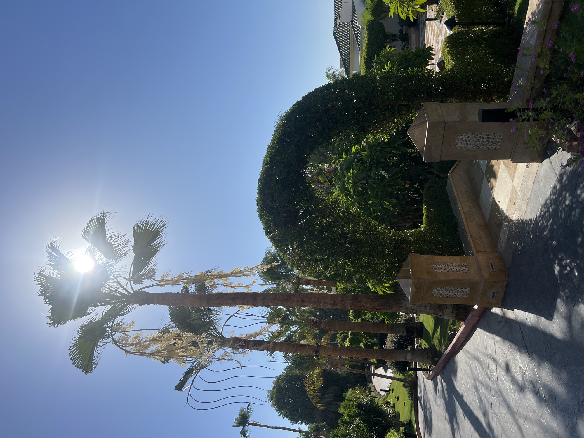 This image depicts an outdoor scene in Sharm El Sheikh, Egypt, likely a resort or hotel garden. The foreground features a paved pathway with distinct shadows cast by palm trees and sunlight filtering through them. To the right, a decorative stone pillar with mosaic accents stands beside a low wall. Beyond this, a meticulously shaped green hedge forms an archway. In the mid-ground, several tall palm trees are visible, with some bearing long, drooping strands of light-colored flowers or fruit. The background reveals lush greenery, including more trees and manicured bushes, and a building with a dark, tiled roof characteristic of the region. The sky is a clear, bright blue, with the sun positioned high and slightly to the left, creating a lens flare effect. The overall impression is one of a sunny, tropical environment.