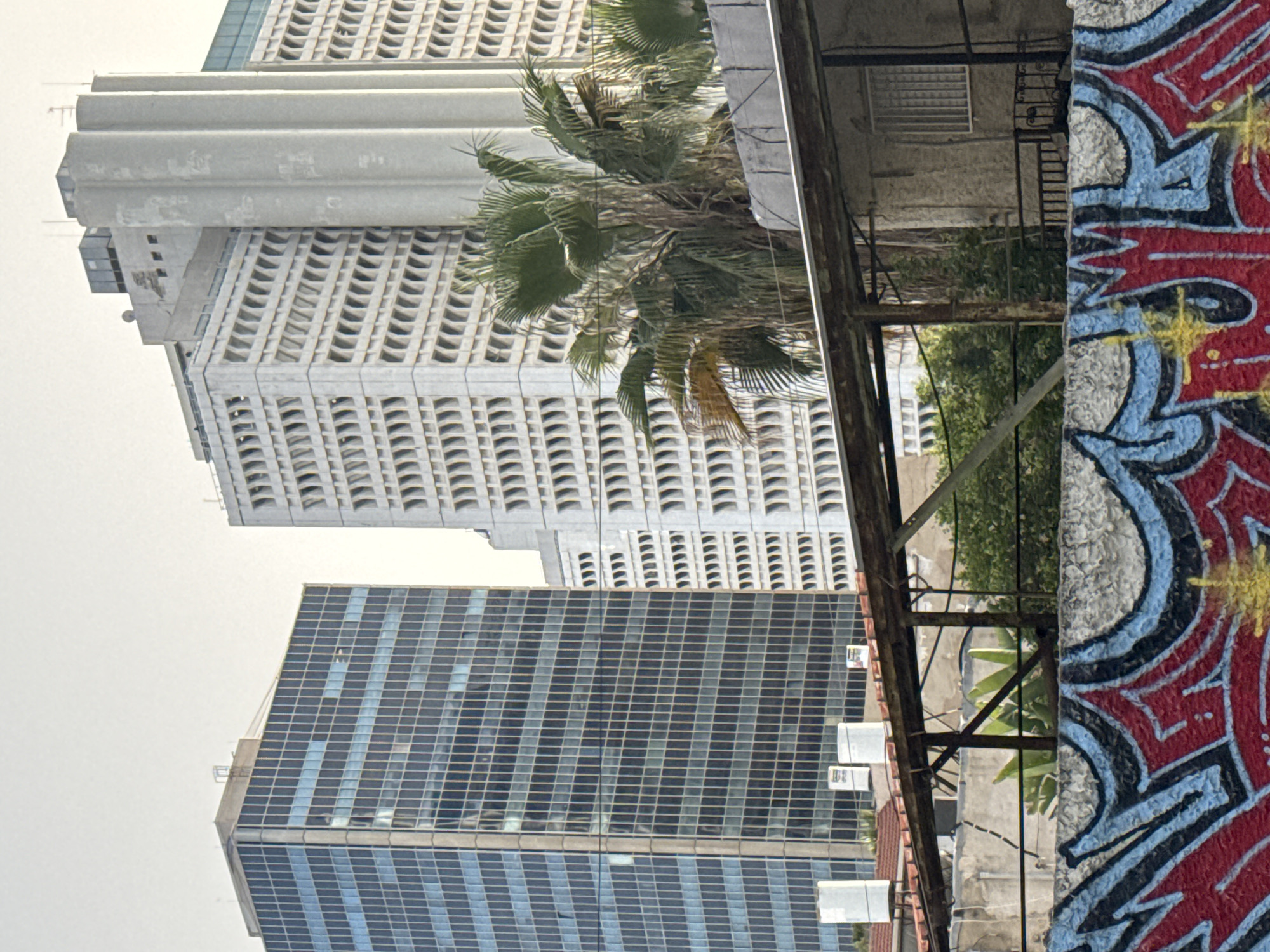 The image captures a street-level view in Tel Aviv, Israel. A modern building with a grid-like window pattern stands next to a taller, older, white building with repetitive, recessed windows. A palm tree grows between the two buildings. A metal structure with visible wiring and possibly air conditioning units is present in the foreground. To the right, a wall is covered in colorful graffiti. The sky is overcast.