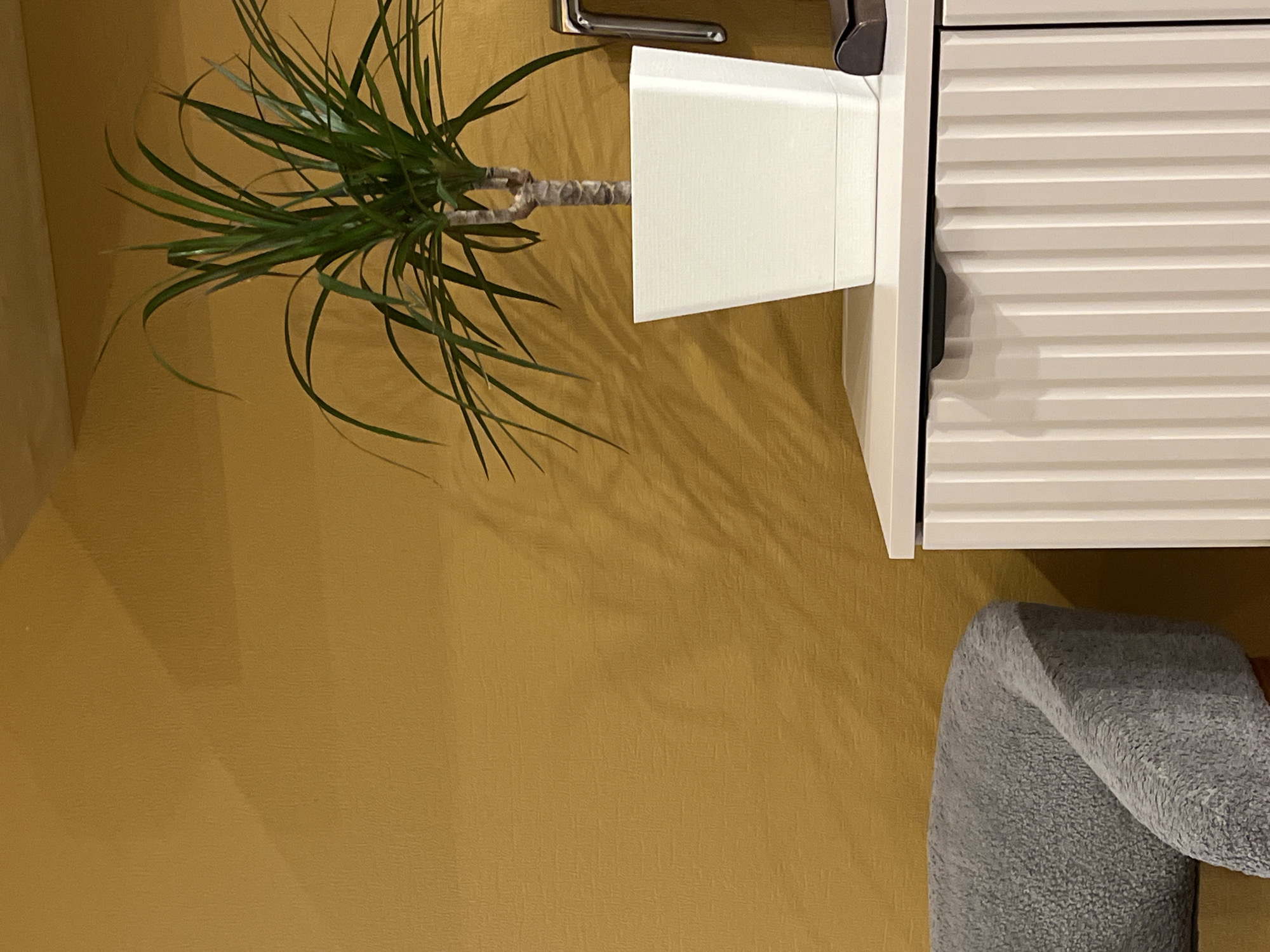 A top-down view of a bathroom setting. On the upper left of the image is a potted dracaena plant. A white cabinet with horizontal grooves is located on the right side, next to a roll of toilet paper. The floor has a golden textured pattern, and a gray fuzzy bath mat is visible in the lower right corner. The location is in Yekaterinburg, Russia.
