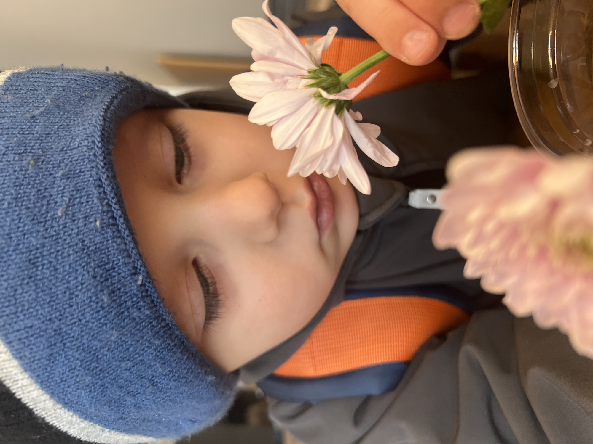 A young child with fair skin and dark eyelashes wears a blue and white knit hat. The child's eyes are closed, and a pale pink chrysanthemum is positioned near the child's face. An adult's hand holding the flower is partially visible. The child is wearing a gray jacket with an orange and blue stripe. Another flower is out of focus in the foreground. The location, Mytishchi, Russia, cannot be determined from the given image.