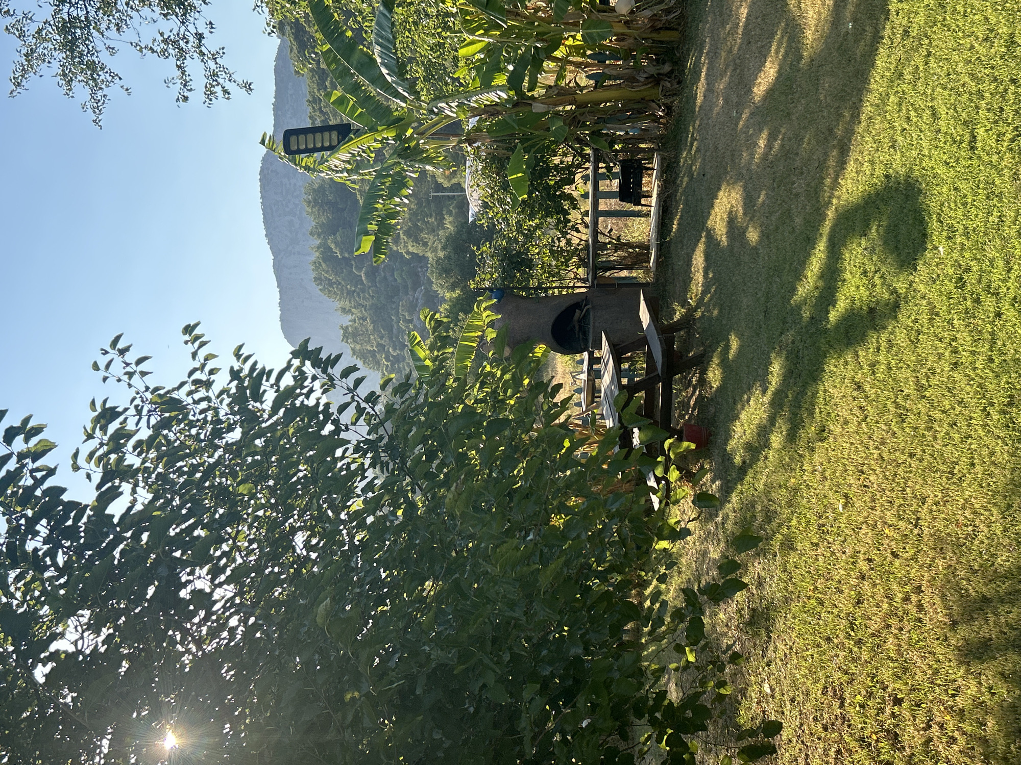 A sun-drenched scene unfolds in the city of Ortaca, Turkey, depicting a tranquil outdoor setting bathed in the golden light of a clear day. In the foreground, lush green grass carpets the ground, dappled with the playful shadows of overhead foliage. To the left, a large tree with dense green leaves dominates the frame, allowing rays of sunlight to pierce through, creating a lens flare effect.
A wooden picnic table and bench are positioned on the lawn, suggesting a place for outdoor dining or relaxation. Adjacent to the table, a rustic, cylindrical barbecue pit stands, hinting at potential gatherings and meals. Behind the barbecue, a weathered wooden fence encloses a small area.
Towering banana trees with broad, vibrant green leaves rise on the right side of the image, adding a tropical feel to the landscape. A modern solar-powered street lamp is mounted on a pole among the banana trees, its dark casing contrasting with the bright greenery.
In the background, rolling hills covered with dense green trees recede towards a majestic, rocky mountain range under a clear blue sky. The distant landscape conveys a sense of natural beauty and serene remoteness. The overall impression is one of a peaceful, sun-kissed garden space, likely a part of a private residence or a tranquil outdoor venue.