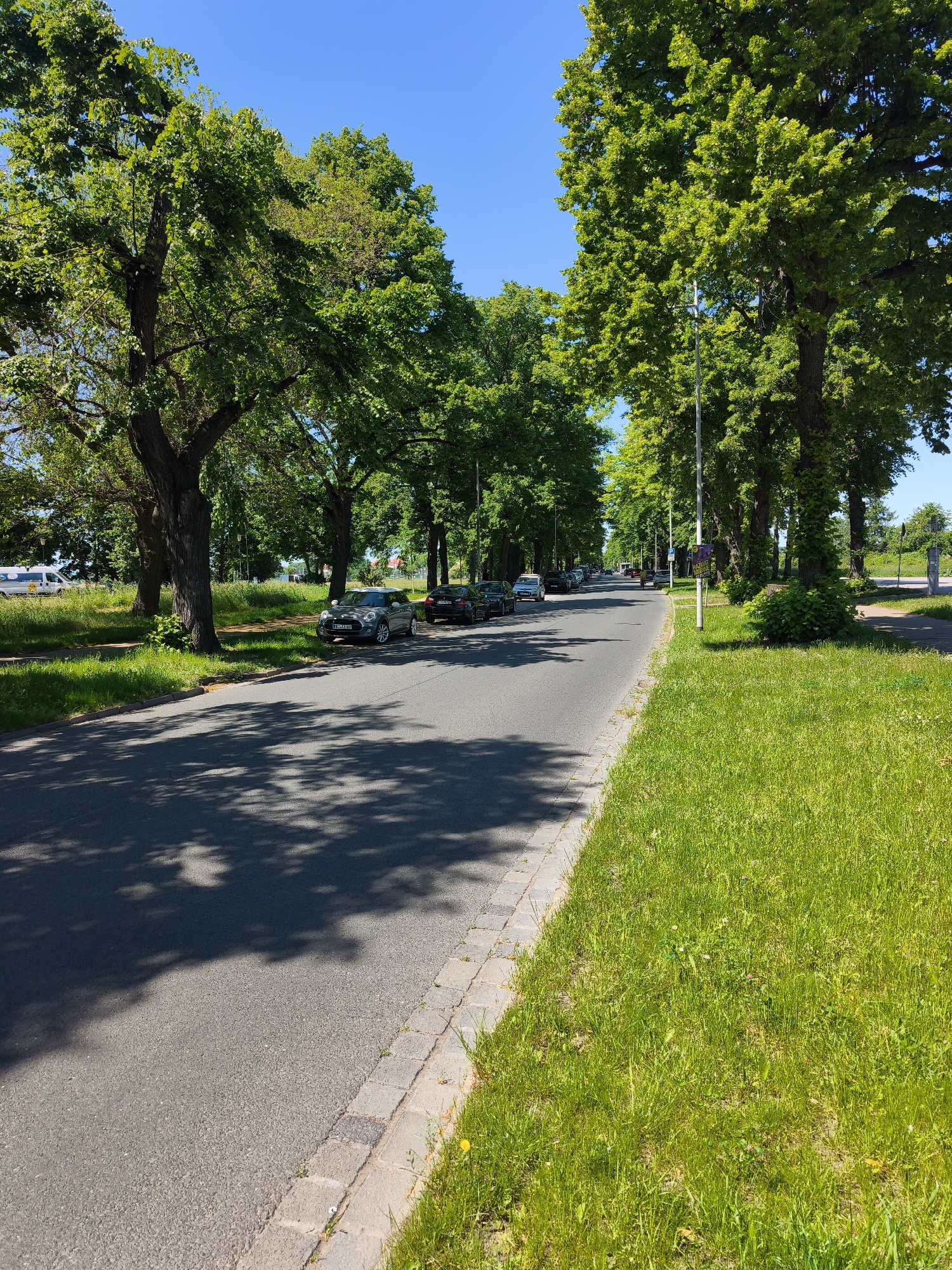The image depicts a street scene in an urban area, possibly a residential or suburban neighborhood. The dominant feature is a paved road stretching into the distance, lined on both sides by mature, tall trees with dense green foliage. These trees create a shaded canopy over the road.
Several parked cars are visible along the left side of the road, including a gray Mini Cooper and a dark-colored sedan. On the right side, there is a wide grassy area bordering the road, with a sidewalk or paved area running alongside it.
The sky is clear and blue, suggesting a sunny day. The scene appears quiet and peaceful. The location appears to be in the city of Unknown, Unknown.