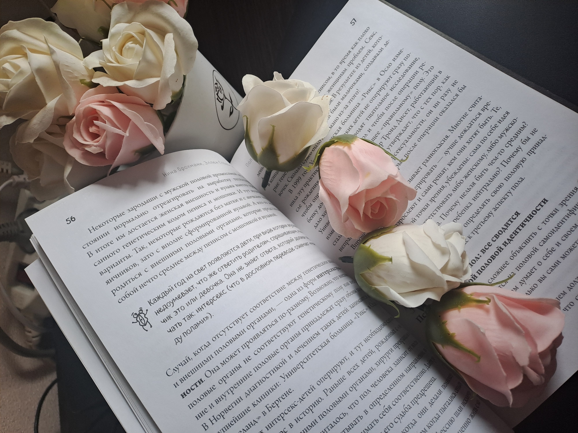 This image, captured in Elektrostal, Russia, displays a still life composition featuring an open book and several artificial roses. The book rests open on a dark surface, revealing white pages filled with black Cyrillic text. Page numbers "56" and "57" are clearly visible.
Soft pink and creamy white artificial roses are artfully arranged across the open pages and along the book's spine. Some of the roses appear to be part of a small bouquet, with a portion of a white vase or container visible in the upper left corner. The lighting is soft and warm, casting gentle shadows that add depth to the scene.
The visible text on the book's pages, attributed to authors "Нина Брокманн, Эллен Стен" (Nina Brockmann, Ellen Stens), delves into themes of biology, gender, and identity. Recognizable phrases include "мужской половой хромосомой" (male sex chromosome), "женская внешность" (female appearance), "пенисом с мошонкой и вульвой" (penis with scrotum and vulva), "интерсекс" (intersex), "генетическим полом" (genetic sex), and "половой идентичности" (gender identity). The text also references medical details, such as "Университетская больница «Рикс» в Осло" (University Hospital "Riks" in Oslo), discussing surgical practices and the formation of sexual characteristics. A small, decorative insect-like drawing is present on page 56. The arrangement suggests a peaceful, contemplative atmosphere.