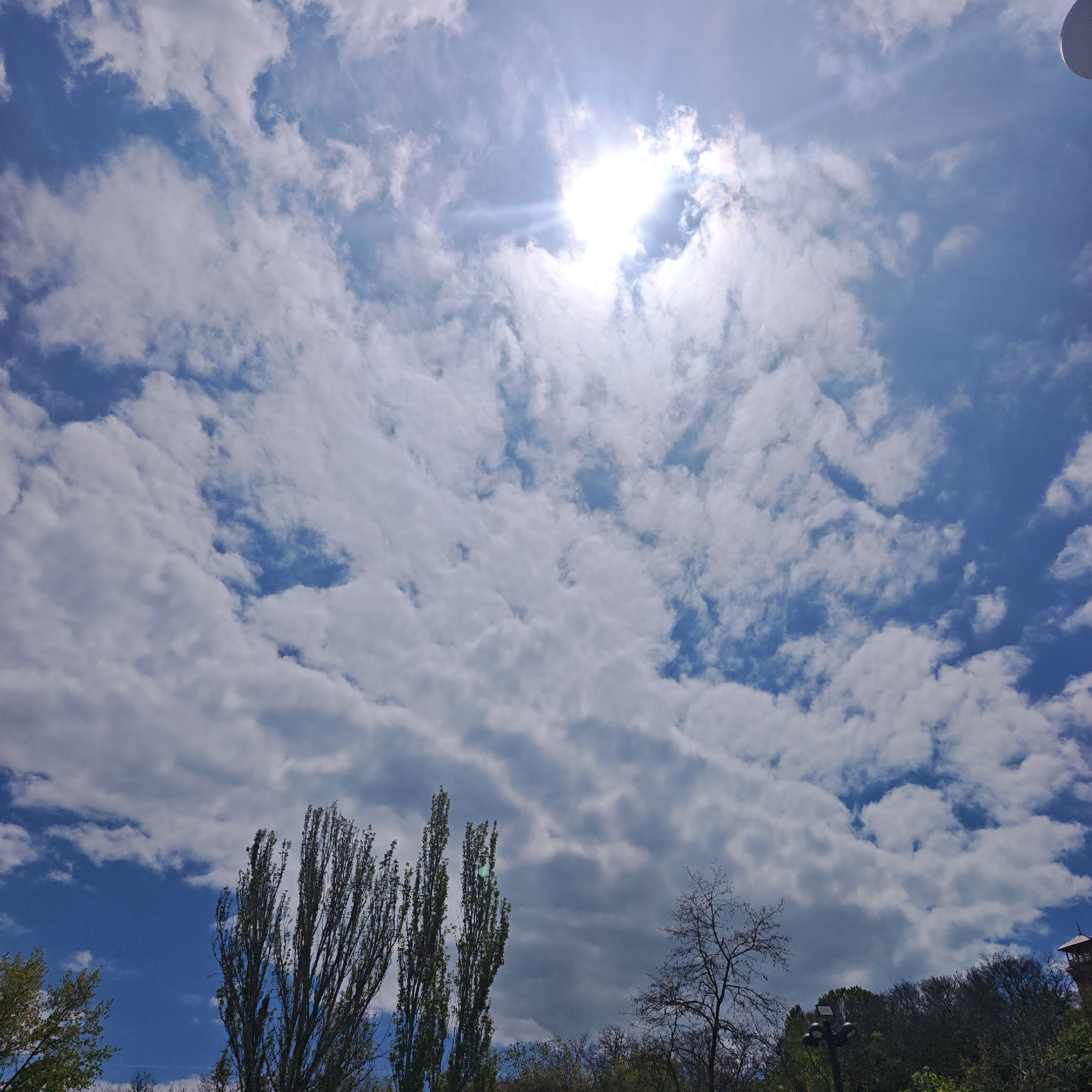 The image captures a daytime scene in Taganrog, Russia, under a sky filled with a layer of altocumulus clouds illuminated by the sun. The sun's position is high in the sky, partially obscured by the clouds, casting a diffused light on the landscape below.
The foreground features trees with varying degrees of foliage. Some are fully leafed with green, while others are bare. The height of the trees suggests they could be located in a park or a green belt within the city.
The buildings or other structures are not clearly visible, only the top of a tower on the right. The image's upward angle focuses primarily on the sky and the tree line, offering a glimpse of the environment within Taganrog.