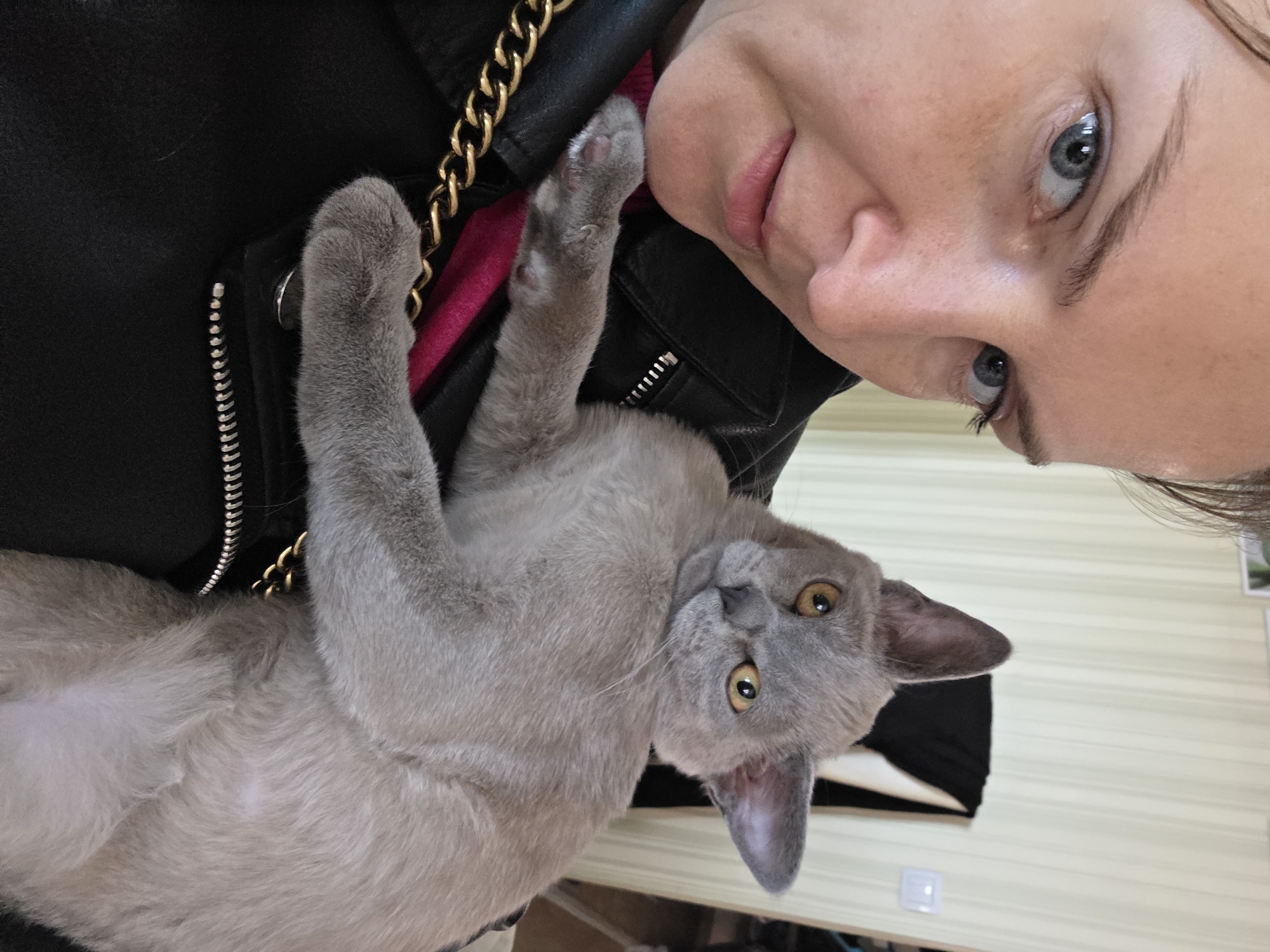 A woman with blue eyes is holding a grey cat in her left arm. The cat has yellow eyes and is looking at the camera. The woman is wearing a black leather jacket with a gold chain detail. A pink shirt is visible between the woman's face and the cat's paws. The background shows a wall and a light switch, indicating an indoor environment. The location is Chaikovsky, Russia.