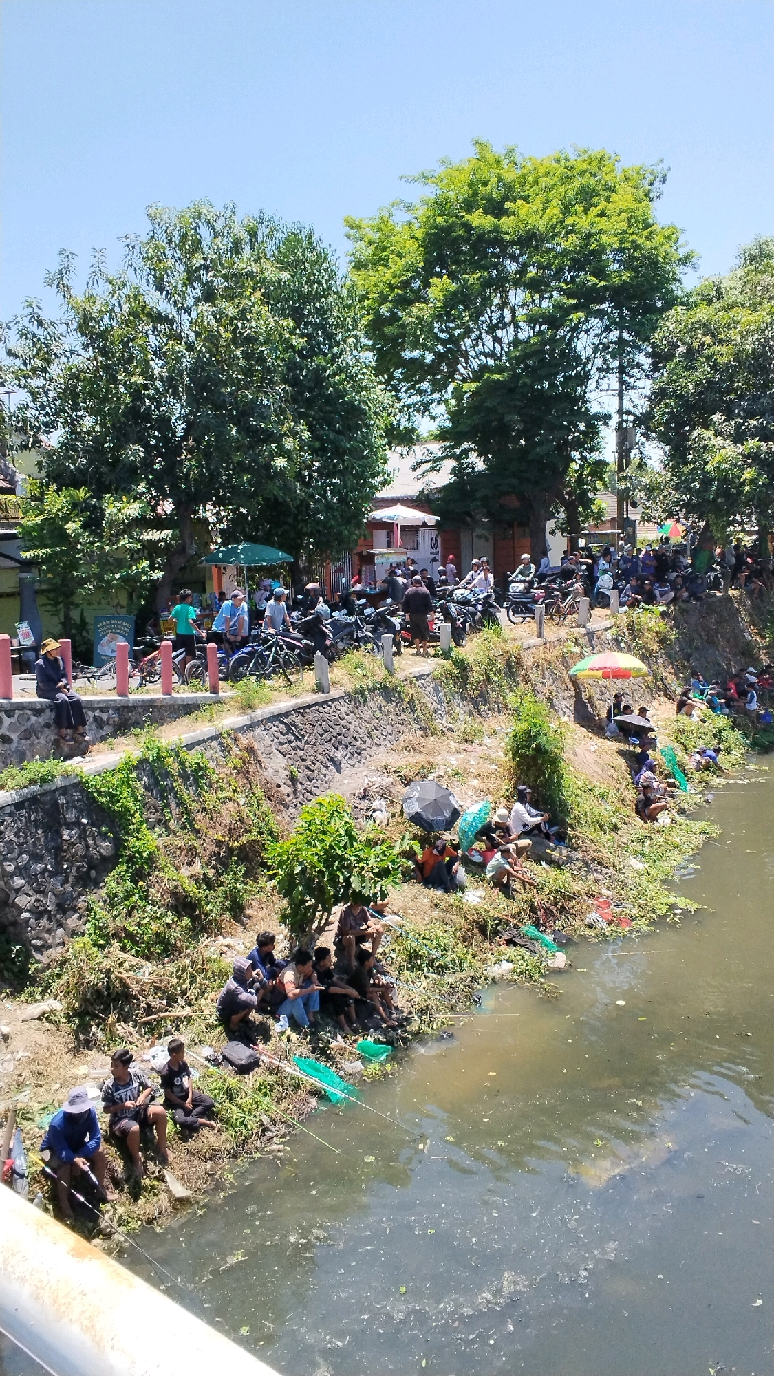 The image depicts a lively scene along the banks of a river in Mojokerto, Indonesia, on a sunny day. A large group of people are gathered, many of them fishing. They are situated on the grassy embankment, with some using umbrellas for shade. Fishing rods and nets are visible, indicating their activity. Further up the embankment, a road is lined with parked motorcycles and scooters, suggesting a local event or gathering. People are standing and sitting along this elevated area, some observing the activity by the river. Buildings and trees form the backdrop, with lush green foliage indicating a warm climate. The river itself appears murky, with some debris visible on its surface and along the banks. The overall impression is one of community engagement and outdoor recreation.