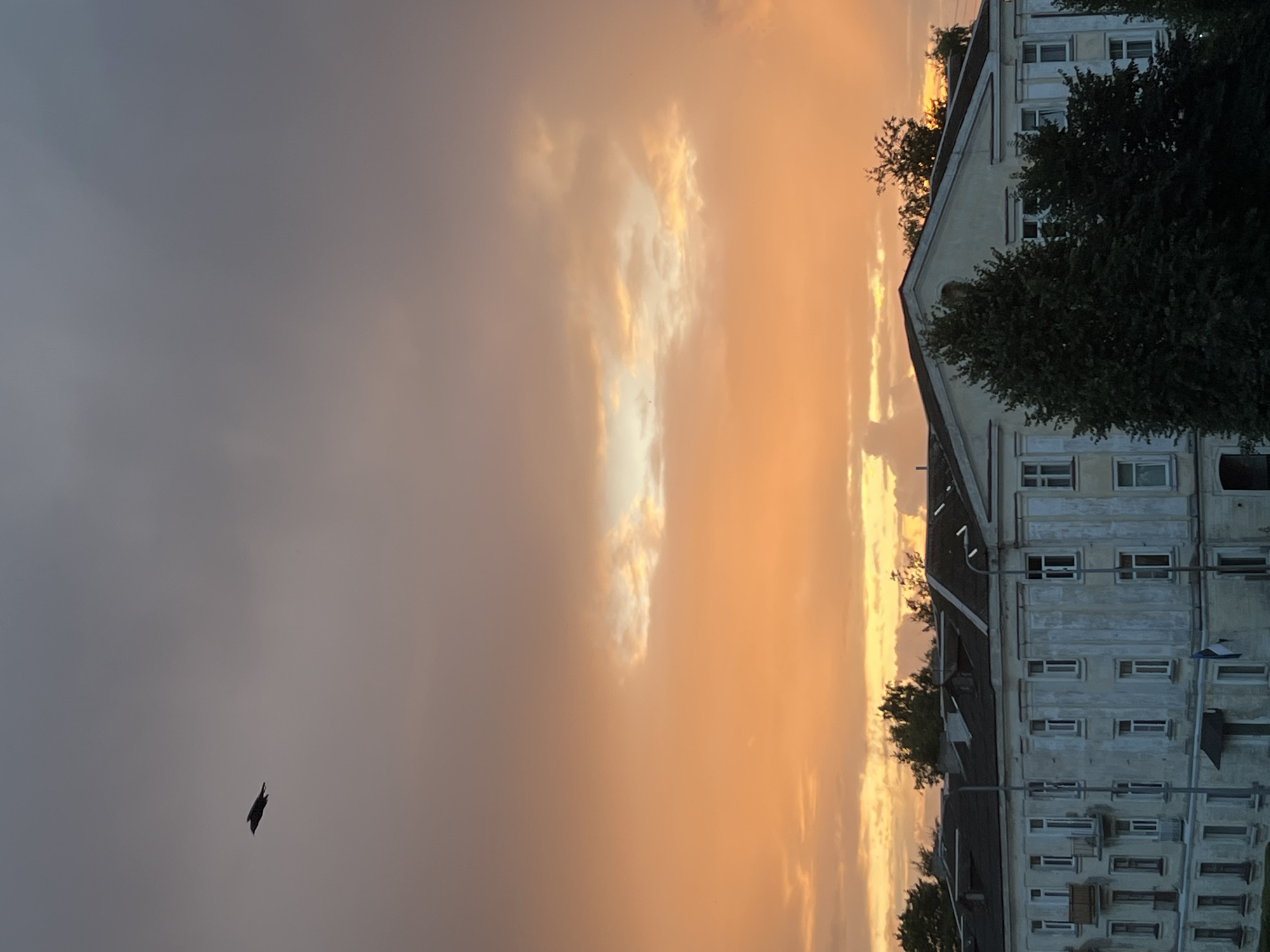 The image shows a bird in flight against a dramatic sky filled with orange and grey clouds, possibly during sunset or sunrise. Below the sky, a multi-story building with a light-colored facade and a dark roof is visible. The architecture appears to be of Soviet-era design. Trees are present around the building, with some foliage obscuring parts of it. The overall impression is of an urban setting in Kohtla-Järve linn, Estonia, captured during a moment of natural atmospheric beauty juxtaposed with the mundane reality of a residential or institutional building.