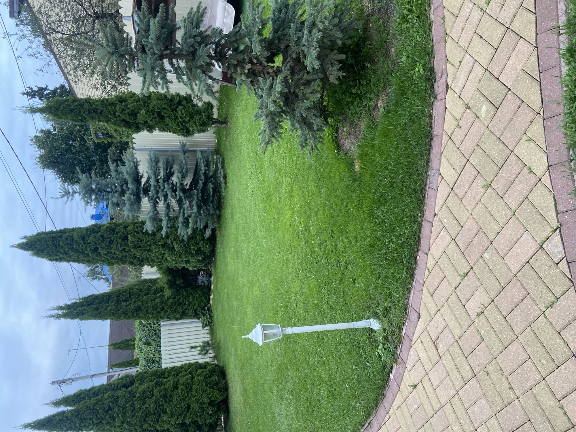 The image depicts a backyard scene in Tomilino, Russia, under an overcast sky. The foreground features a pathway paved with rectangular interlocking bricks in alternating shades of yellow and beige, bordered by red bricks. To the left of the path, a white, ornamental lamppost stands on the lush green lawn.
The lawn is well-maintained and extends into the midground, where several tall, conical green thuja trees are planted along a light-colored fence. Beyond the thuja trees, there are two blue spruce trees, one taller and one shorter, with their characteristic spiky needles. Further back, a tall, slender green tree stands between the blue spruce trees. A white fence runs across the background, behind which houses and other vegetation are visible, including a portion of a roof with blue accents. The overall impression is that of a residential backyard with mature landscaping.