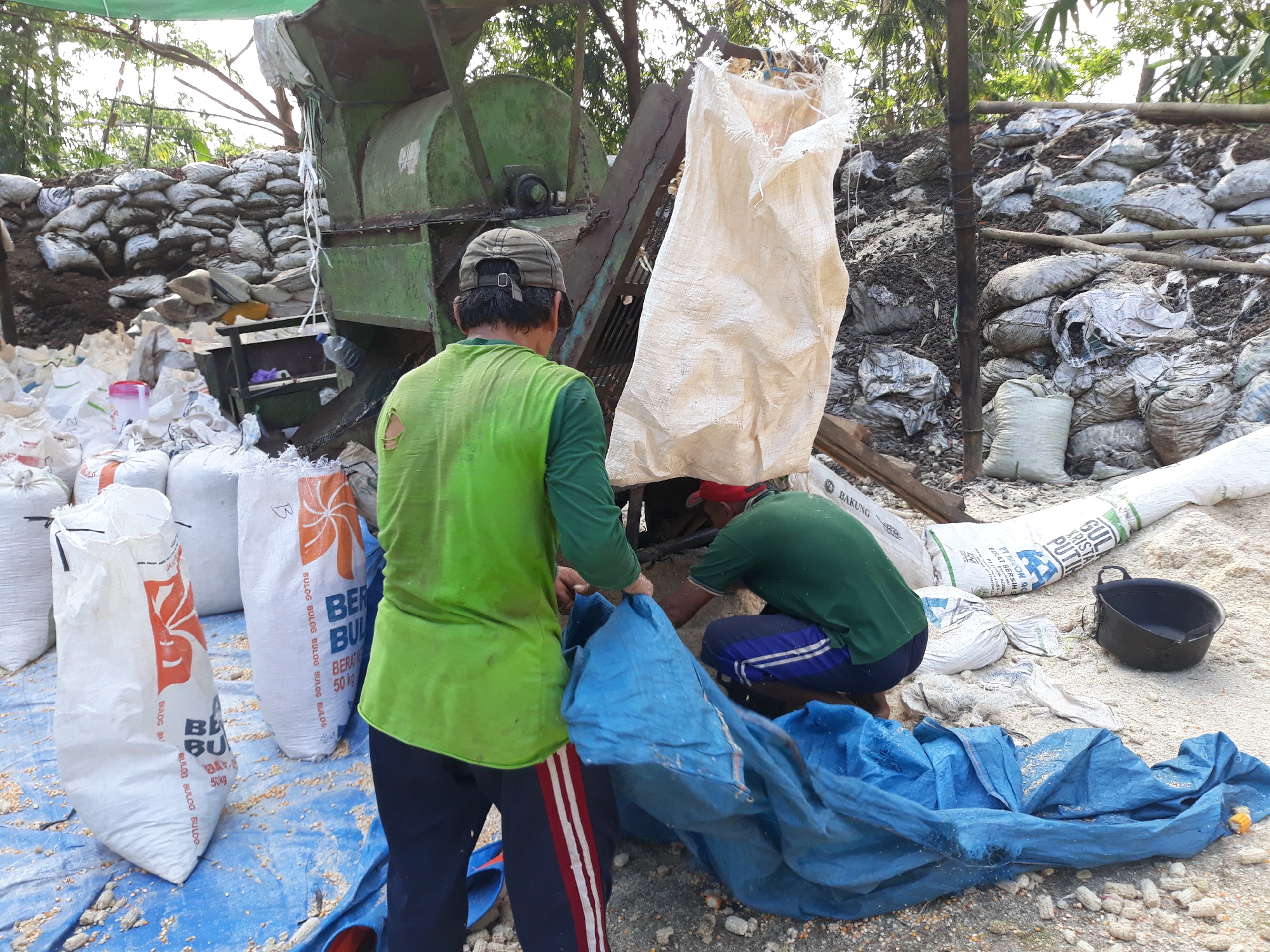 In Potroyudan, Indonesia, two men are engaged in manual labor outdoors, possibly at a farm or agricultural processing site. A large green machine, likely a thresher or grinder, is positioned in the background. In the foreground, one man, wearing a green shirt and a cap, is handling a large, off-white sack that is suspended from the machine. He appears to be in the process of filling or emptying it. Next to him, another man in a green shirt and striped shorts is kneeling, also interacting with sacks and a large blue tarp spread on the ground. The area is covered in loose grains, possibly corn kernels, and scattered debris, suggesting a working environment. Several white sacks, some with orange branding indicating "BULOG," are stacked nearby, along with piles of earth and debris. The scene is illuminated by natural daylight.
