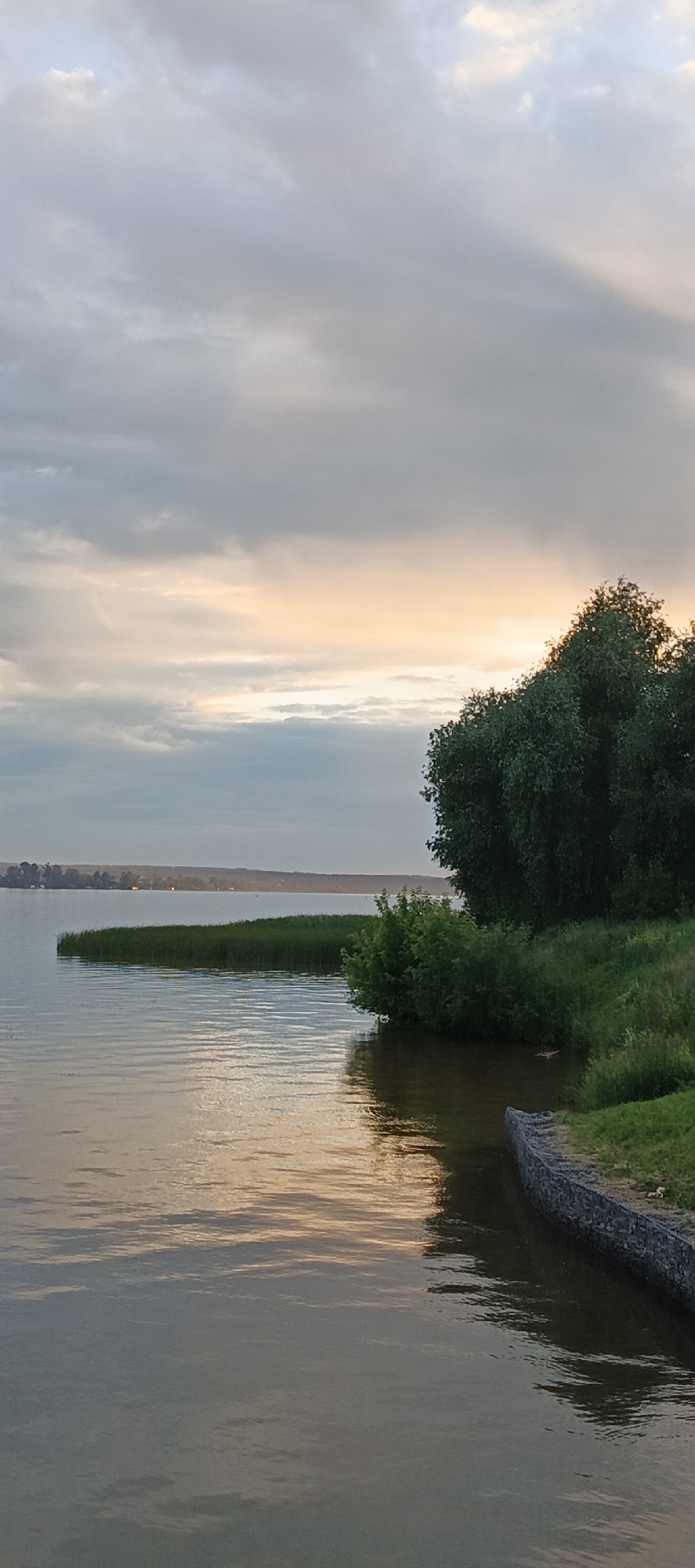 The image depicts a serene natural landscape, likely on the outskirts of Votkinsk, Russia, given the characteristic Russian nature. The scene features a body of water, possibly a lake or river, with calm ripples reflecting the soft light of a cloudy sunset. The sky is filled with a mixture of grey and pale orange clouds, suggesting the sun is low on the horizon.
Along the shoreline, there is lush green vegetation, including tall reeds growing in the water and dense bushes and trees on the land. A large, mature tree dominates the right side of the frame, its dark green foliage contrasting with the lighter tones of the sky and water. The shoreline itself is partly reinforced with a gabion wall, a structure made of wire cages filled with stones, indicating some human intervention to manage erosion.
In the distance, across the water, a treeline is visible, with hints of human settlement suggested by distant lights. The overall impression is one of tranquility and natural beauty, a peaceful vista at dusk. There are no people or animals visible in the image, nor any specific actions or interactions taking place. The focus is purely on the environment and the interplay of light and natural elements.