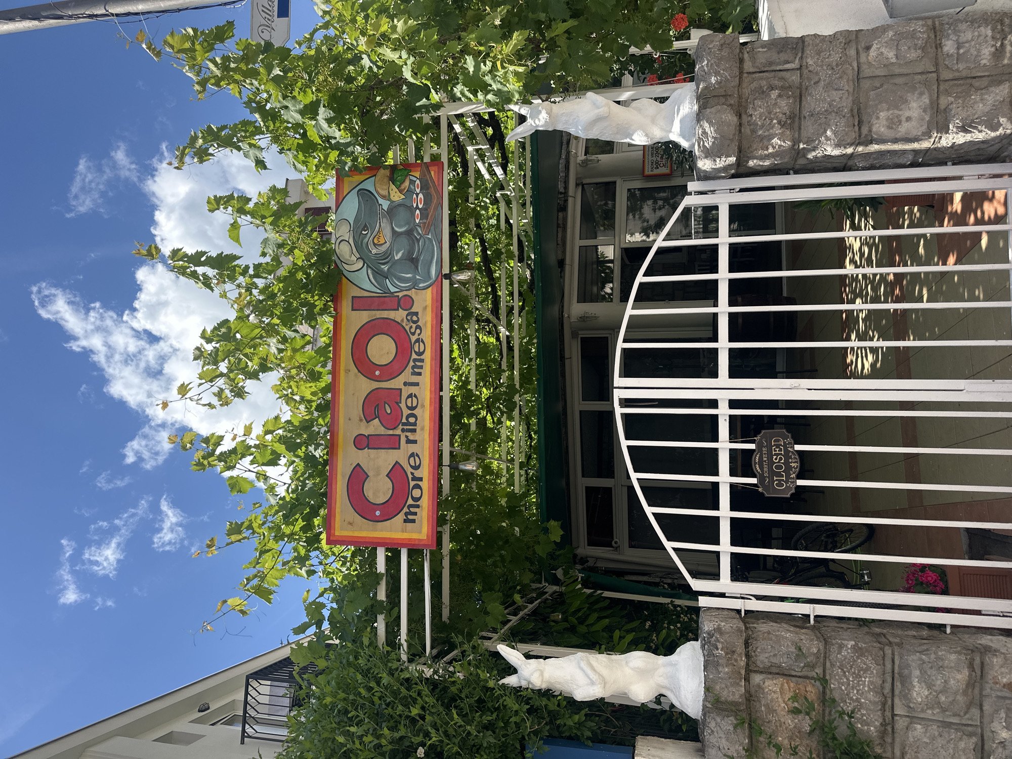 This image captures the entrance to what appears to be a restaurant or cafe in Budva, Montenegro, on a bright, sunny day. The scene is dominated by a vibrant, rectangular wooden sign hanging above a white metal gate. The sign reads "Ciao!" in large red letters, below which is smaller text "more ribe i mesa" (meaning "more fish and meat"). An artistic circular design on the sign features a cartoon elephant holding food, including what looks like sushi, cheese, and olives.
The white metal gate, which is partially ajar, suggests the entrance to the establishment. Hanging prominently on the gate is a dark rectangular sign with white text that clearly states "SORRY, WE'RE CLOSED." Behind the gate, a bicycle is partially visible, and beyond that, the interior of the building is dimly seen through windows. The gate is flanked by stone pillars; on the right pillar, a white statue of an animal, possibly a dog or deer head and neck, is attached.
Lush green foliage, resembling grapevines, extensively covers the area around the sign and gate, casting dappled shadows. The top left of the image reveals a clear blue sky with scattered white clouds, indicating pleasant weather. Another small, partially obscured white sign near the top reads "Villa." Additionally, a smaller sign with "RADNO VREME" (working hours) and "9:00-23:00" is visible, indicating the establishment's operating hours when open. No people are visible, reinforcing the "CLOSED" status of the location.