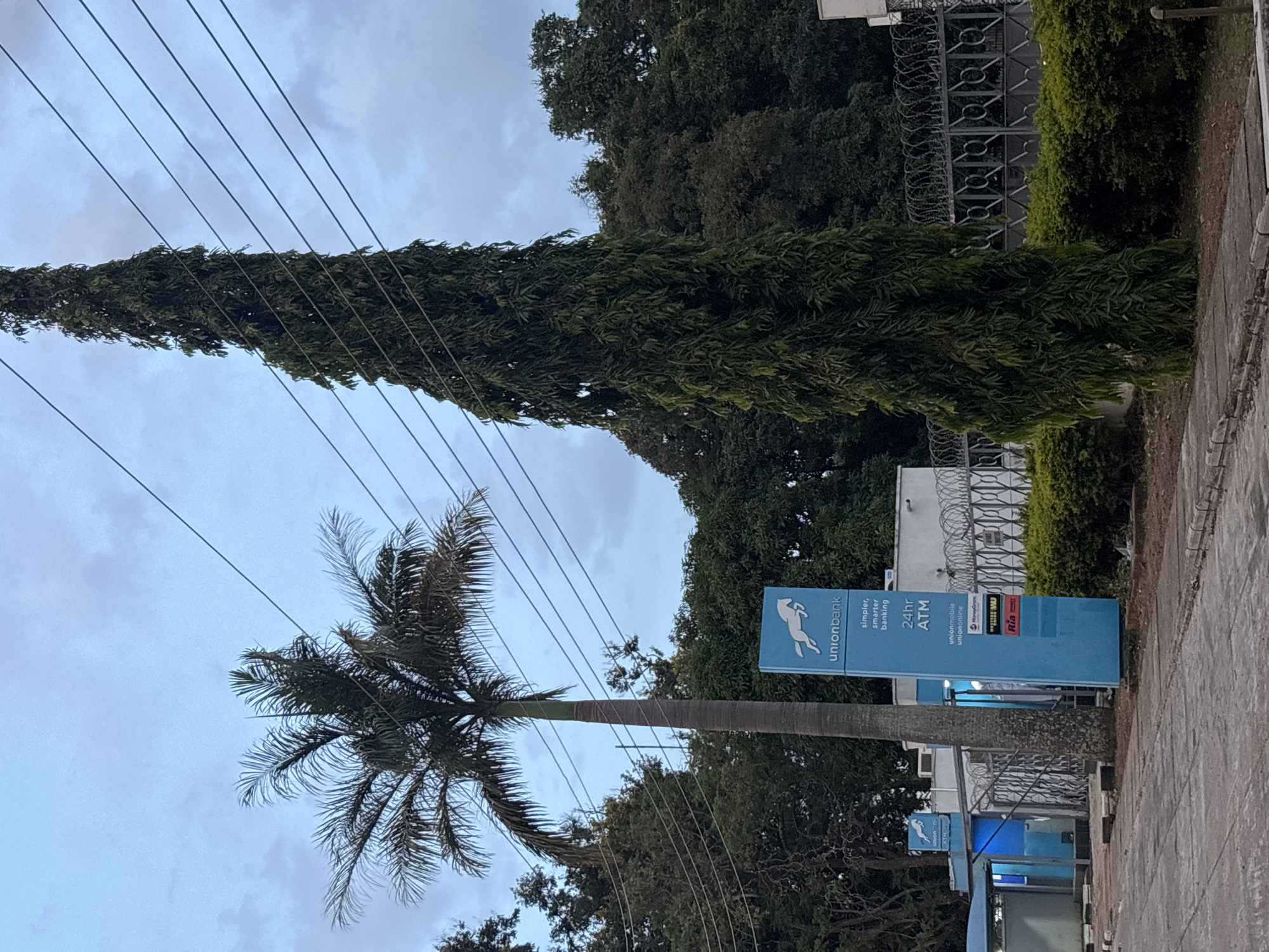The image depicts an exterior scene in the city of Jos, Nigeria, featuring a Union Bank ATM kiosk. A tall palm tree stands to the left of a blue Union Bank sign, which displays the bank's logo and information about its services, including "simpler, smarter banking" and "24hr ATM". Adjacent to the main ATM kiosk, there is another smaller kiosk also branded with Union Bank signage. The area is lined with a manicured hedge and a metal fence topped with barbed wire, suggesting a secure location. Behind the fence, dense foliage from trees forms a natural backdrop. Overhead, power lines crisscross the sky, and the overall lighting indicates it is either early morning or late afternoon. The ground in the foreground is paved, with a curb separating it from the immediate area around the bank. No individuals are visible in the image.