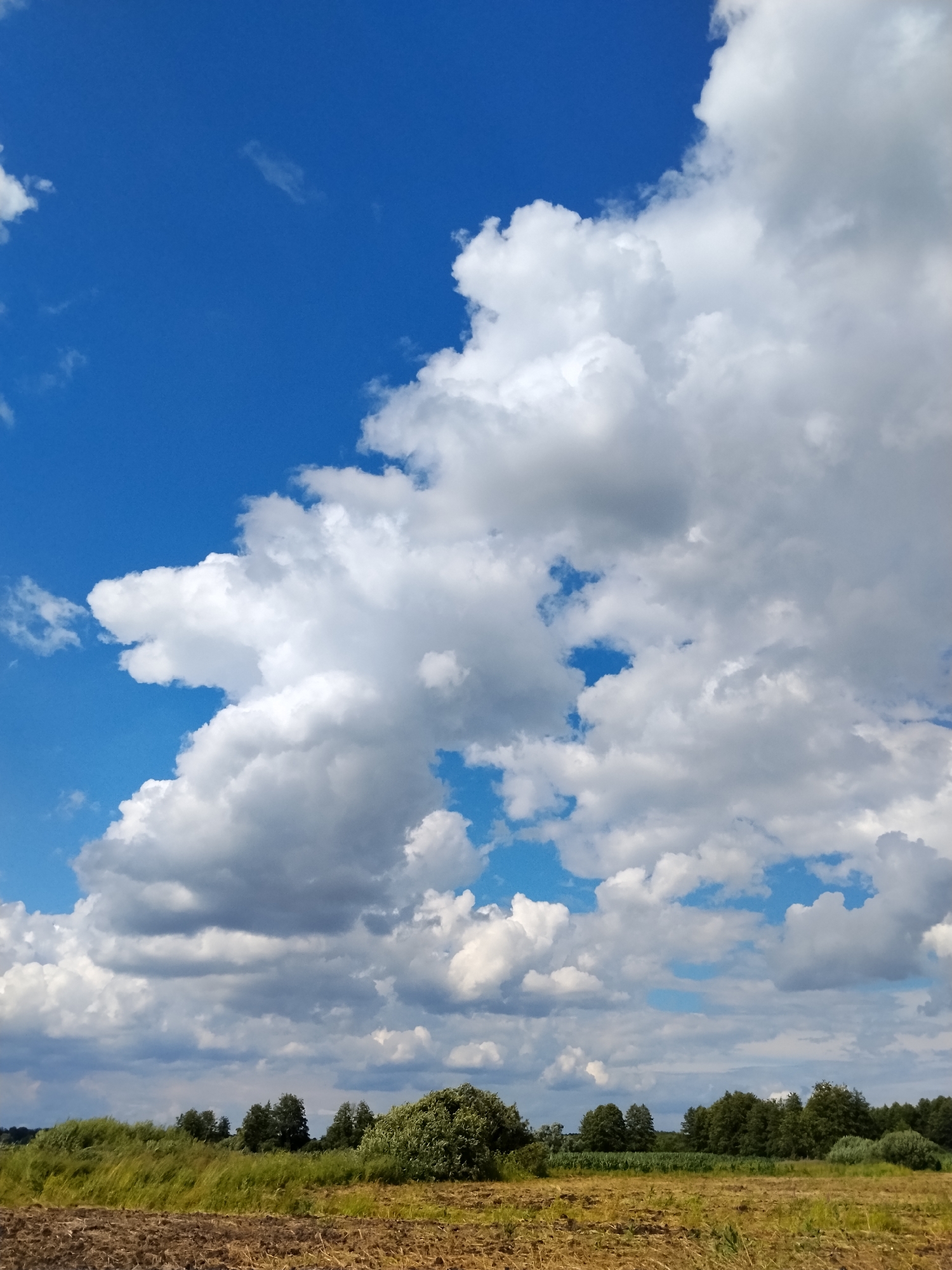 The image captures a rural landscape under a dynamic sky. The foreground consists of dry, tilled earth with scattered stubble, suggesting a recently harvested field. Beyond this, a band of green grass and vegetation stretches across the middle ground, with a dense line of trees forming the horizon. These trees vary in height and foliage density, creating a natural border against the sky. Dominating the upper two-thirds of the image are large, billowing cumulus clouds set against a vibrant blue sky. The clouds are a mix of bright white and darker gray, indicating varying depths and potentially approaching weather. The scene appears to be an open field on the outskirts of the city of Ustyvytsya, Ukraine, with no people or discernible structures visible, emphasizing the natural elements of the environment.