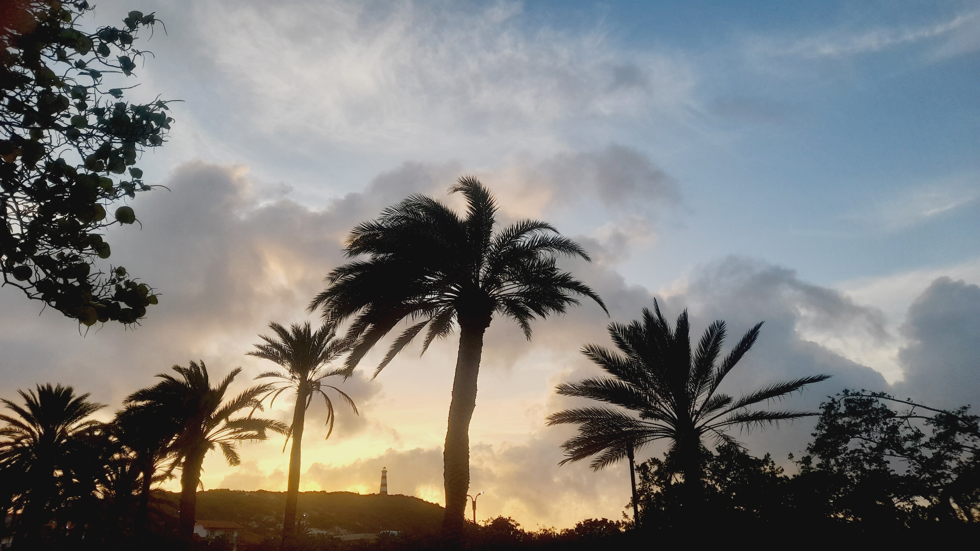 This is a wide-angle shot of a tropical sunset scene in Pedro González, Venezuela. The foreground is dominated by the dark silhouettes of several palm trees, their fronds fanning out against a sky filled with dramatic clouds. The sky transitions from a pale blue at the top to a warm yellow and orange near the horizon, indicating the setting sun. In the middle ground, a lighthouse stands tall on a distant hill, its stripes faintly visible. The ground below the hill is covered in dark, silhouetted vegetation and some indistinct buildings. On the far left of the frame, the silhouette of a leafy tree with hanging fruit adds to the tropical ambiance. The lighting suggests late afternoon or early evening.