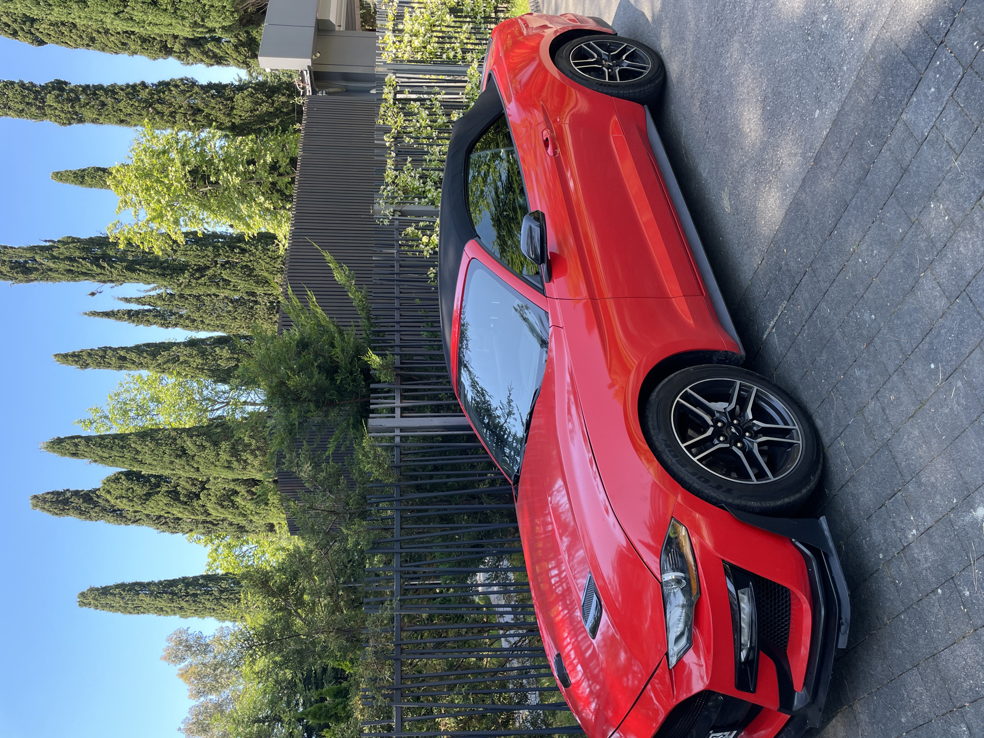 A red convertible Ford Mustang is parked on a paved driveway in front of a modern building with a grey facade. The car's black soft top is up. A dark metal fence borders the property, behind which tall, slender cypress trees and other greenery are visible. The sky is clear and blue, indicating a sunny day. The scene appears to be in a residential or commercial area in the city of Sochi, Russia. There are no people visible in the image.