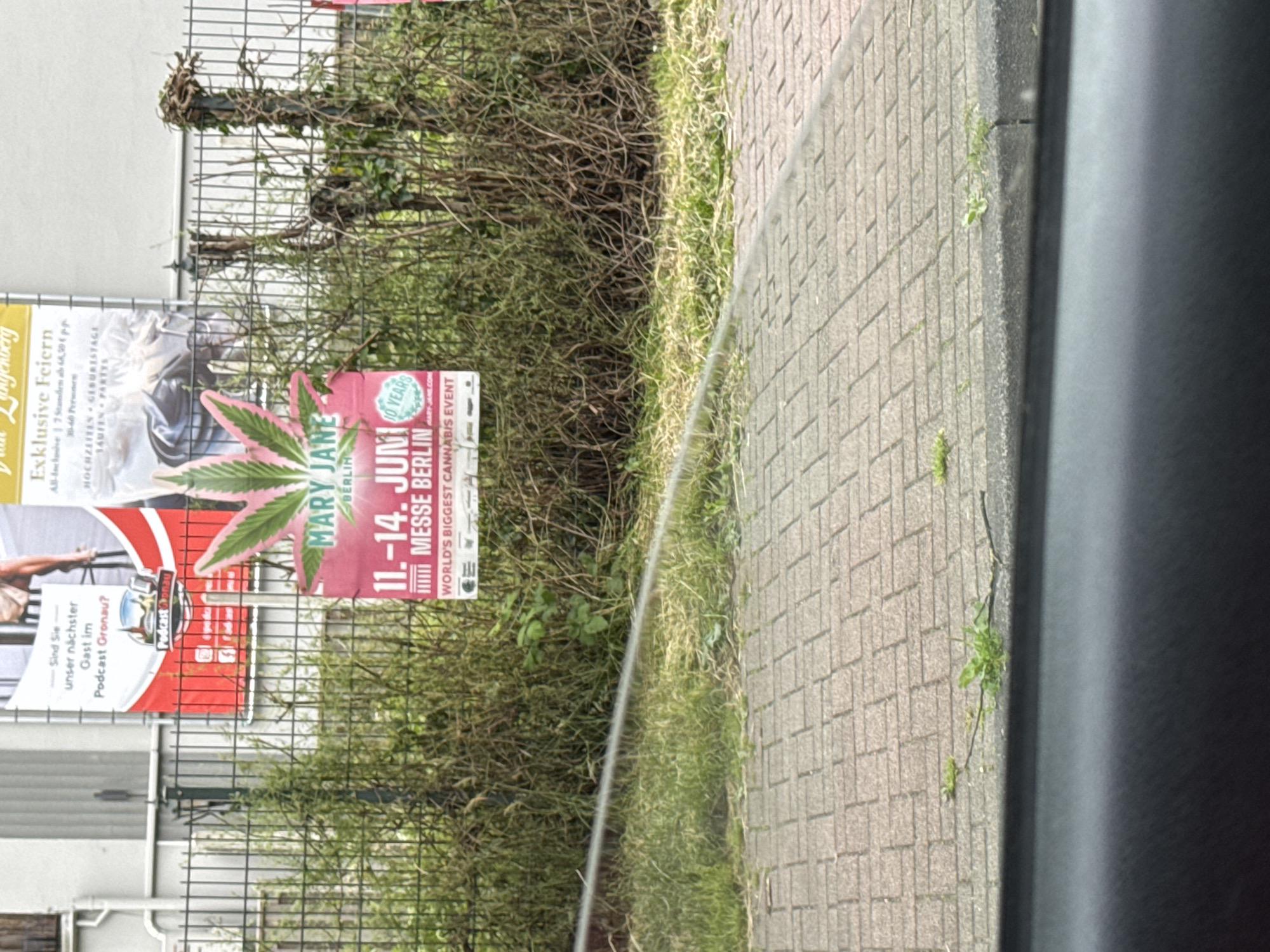 The image shows a fence with several posters attached to it, located on a street in Gronau, Germany. The most prominent poster is for "MARY JANE BERLIN" and advertises "WORLD'S BIGGEST CANNABIS EVENT" happening from June 11-14. Another poster is for a podcast called "Podcast Gronau". The scene is outdoors, with a brick sidewalk in the foreground and overgrown vegetation behind the fence. The lighting suggests it is daytime.