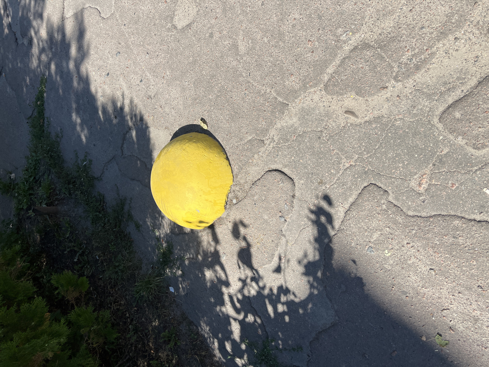 A bright yellow, spherical object, possibly a bollard, rests on a cracked asphalt surface. The object is partially in shadow cast by foliage from an overhanging tree. The surrounding area is paved with concrete that exhibits significant wear and tear, with numerous cracks and uneven patches. Adjacent to the paved area, there is a strip of unkempt grass and dark green foliage. The scene appears to be outdoors, likely in a public space given the presence of a bollard and the general condition of the pavement. The image was taken in Vasylkiv, Ukraine.