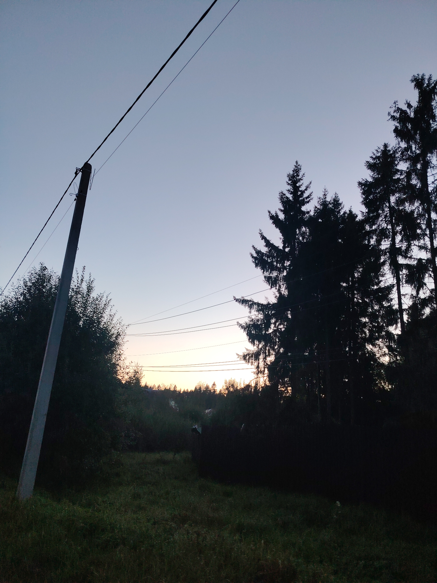A wide shot captures a serene, rural landscape at dusk in Poliana Malaya SNT, Russia. The sky transitions from a pale blue at the top to a soft orange and yellow glow near the horizon, suggesting the sun has recently set. A prominent gray utility pole stands on the left, angled slightly, with power lines stretching diagonally across the frame. To the right, a dense line of dark, silhouetted evergreen trees creates a stark contrast against the fading light. In the foreground, a grassy field with patches of darker foliage recedes into the shadowy middle ground. The overall impression is one of quiet twilight in a natural setting. There are no people or animals visible in the image.