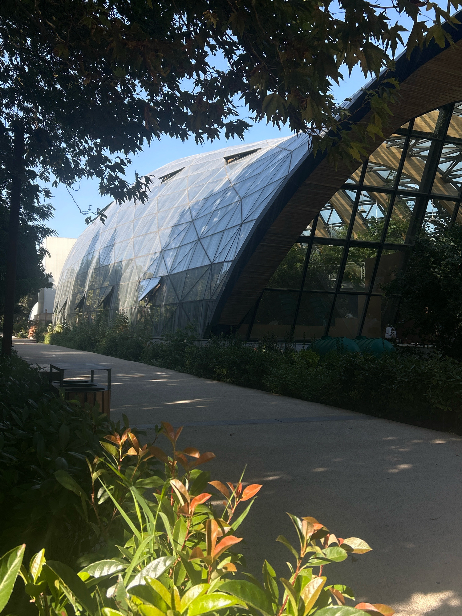 A wide-angle, eye-level, outdoor, daytime photograph shows a modern architectural building with a translucent, geodesic dome-like structure on the right, partially obscured by trees in the foreground. The building's exterior is composed of geometric panels, likely glass or a similar material, supported by a wooden frame visible through the translucent sections. Several triangular windows on the dome are open. A paved walkway runs from the left foreground into the middle ground, parallel to the building, with lush green bushes lining its left side. On the left side of the walkway, a dark-colored trash receptacle with a wooden frame sits next to a bench. The ground is dappled with sunlight filtering through overhead foliage. In the background, behind the dome, another building with a white facade is visible. The environment appears to be a park or a landscaped urban area, possibly within the city of Sabail Raion, Azerbaijan, given the context. The lighting suggests a sunny day with clear skies. There are no discernible individuals in the image.