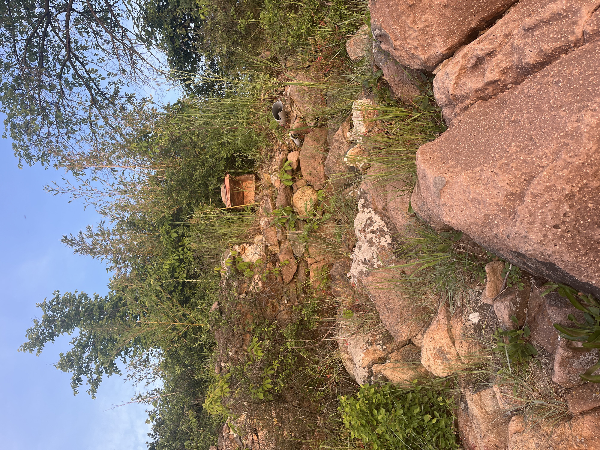 The image shows a rocky hillside in what appears to be a natural area. The hillside is covered with vegetation, including grasses, bushes, and trees. A small, wooden structure is visible, possibly a birdhouse or small shelter. Above this small structure, a discarded metal can is seen among the rocks and foliage. Large boulders dominate the right side of the frame, creating a sense of rugged terrain. The location is inferred to be Burgas, Bulgaria.