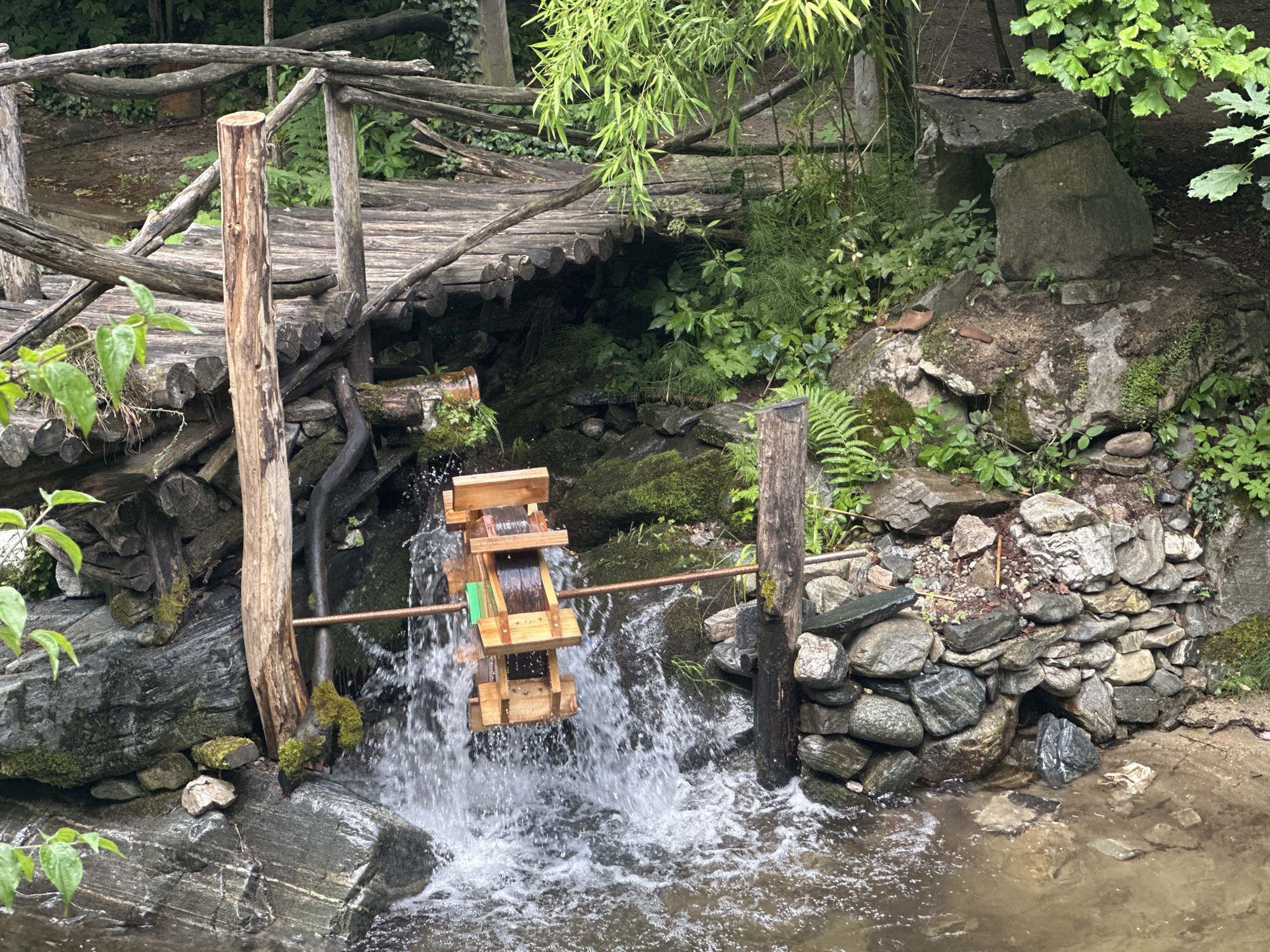 In Golyamo Belovo, Bulgaria, a wooden water wheel, approximately 0.5 meters in diameter, is actively turning in a stream. The wheel is constructed from light-colored wood and features a central axle that extends horizontally. Water cascades over the paddles of the wheel, creating a spray and turbulence in the stream below. The stream flows over a bed of rocks and is surrounded by a naturalistic setting. To the left of the water wheel, a weathered wooden post supports a rustic wooden bridge constructed from logs and branches. The bridge spans over the stream. The environment is lush with green foliage, including ferns and bamboo, growing around the stream and the wooden structures. The stream itself appears to be shallow, with visible rocks beneath the surface.