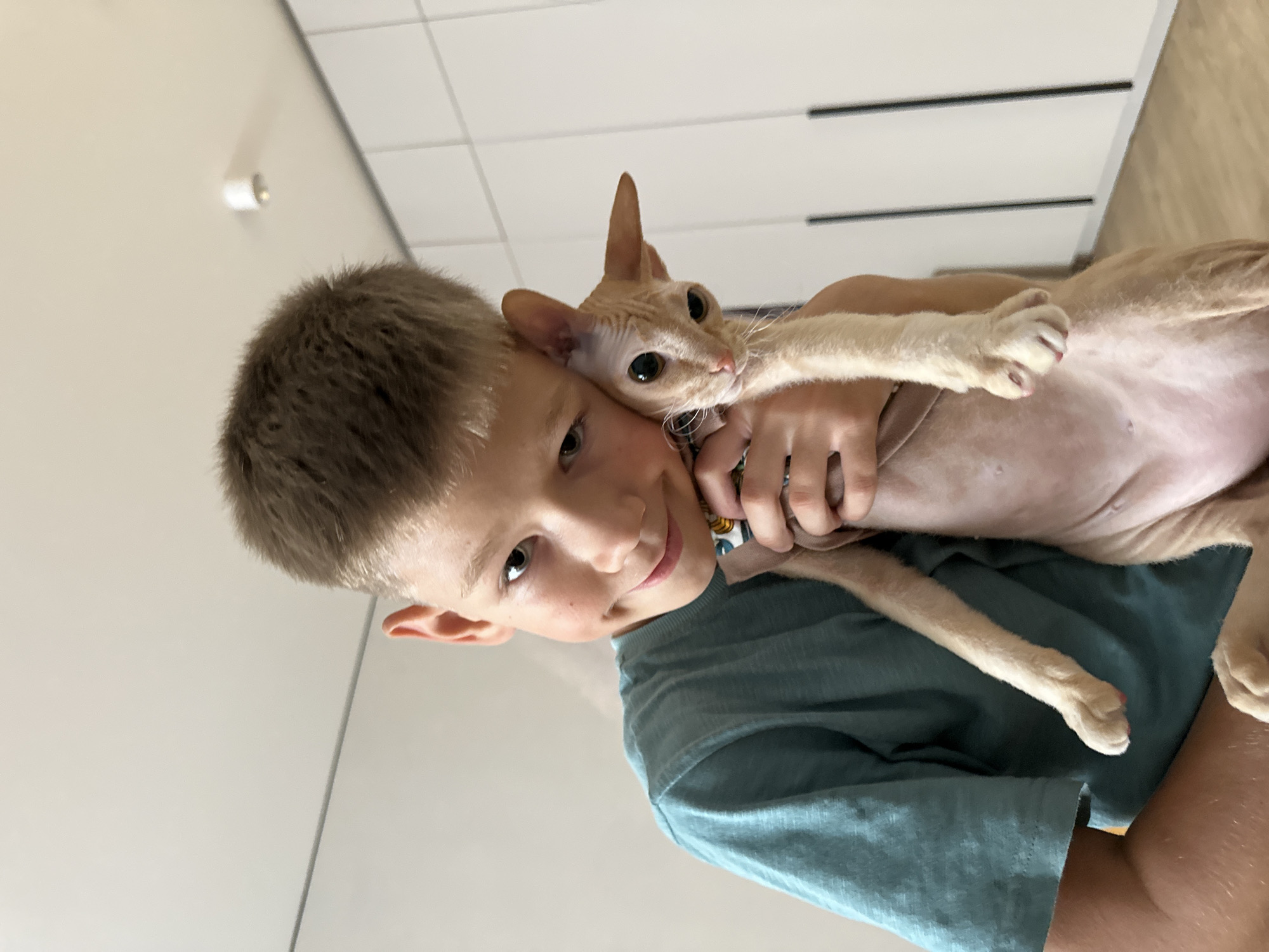A young boy with short blond hair is holding a hairless cat. He is wearing a teal t-shirt and smiling at the camera, with his head tilted and resting against the cat's head. The cat is a light peach color, with large, dark eyes and prominent ears. It is held snugly in the boy's arms. The background is a plain, off-white wall with some white cabinets on the right side. The lighting is bright and natural.