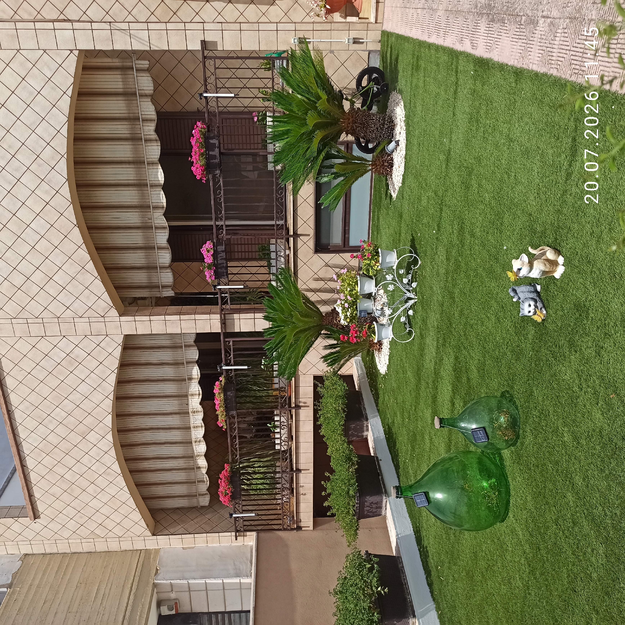 The image depicts a well-maintained outdoor space in Bitonto, Italy, likely a residential balcony or terrace. The scene is characterized by artificial turf covering the ground, creating a vibrant green lawn. Several decorative elements are present, including two large green glass carboys with solar lights inside, and two ceramic cat figurines, one gray and one beige, each adorned with a yellow butterfly.
In the background, a building with light-colored tiled facade features a balcony with a decorative metal railing. The balcony is adorned with planters filled with vibrant pink flowers and some green foliage. Two windows with closed wooden shutters are visible behind the balcony. Awnings with vertical stripes provide shade over the windows.
Further to the left, large rectangular planters containing lush green plants are arranged along a raised white platform. Two cycad plants, one mature and one smaller, are prominently placed in the foreground on the artificial turf, surrounded by white gravel. A vintage-style bicycle with a wheel on its side is leaning against the base of the larger cycad.
The image is dated "20.07.2026 11:45". The overall impression is one of a carefully curated outdoor living area designed for aesthetic appeal and relaxation.