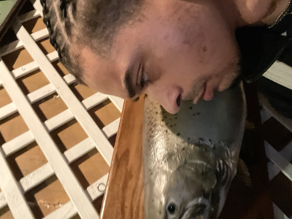 A male individual with dark skin and braided hair is depicted in a profile view, occupying the right side of the frame. He wears a dark jacket with a light stripe and a silver chain. His gaze is directed left, towards a large, taxidermied fish, likely a trout or salmon, mounted on a polished, reddish-brown wooden plaque or shelf. The fish, positioned in the left-center, displays visible scales and dark spots. The background features a white wooden lattice structure with square apertures, revealing a brownish-orange surface behind it. The scene occurs indoors. No specific visual information within the image indicates a location in Paris, France.