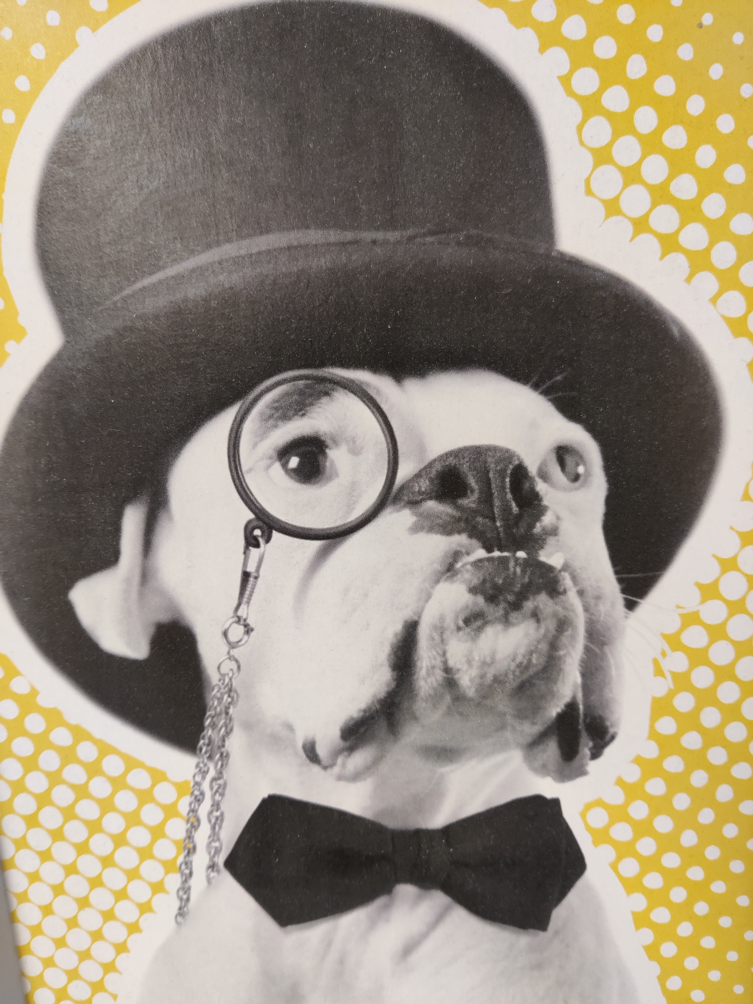 The image is a close-up, black and white photograph of a dog wearing a top hat, monocle, and bow tie against a yellow background with white polka dots. The dog's head is tilted slightly upwards, and its mouth is open, revealing its teeth. A silver chain connects the monocle to the dog's collar. The image is a studio portrait, and there are no identifiable landmarks or elements that would suggest a specific location within Mechanicsburg, United States of America, or any other city.