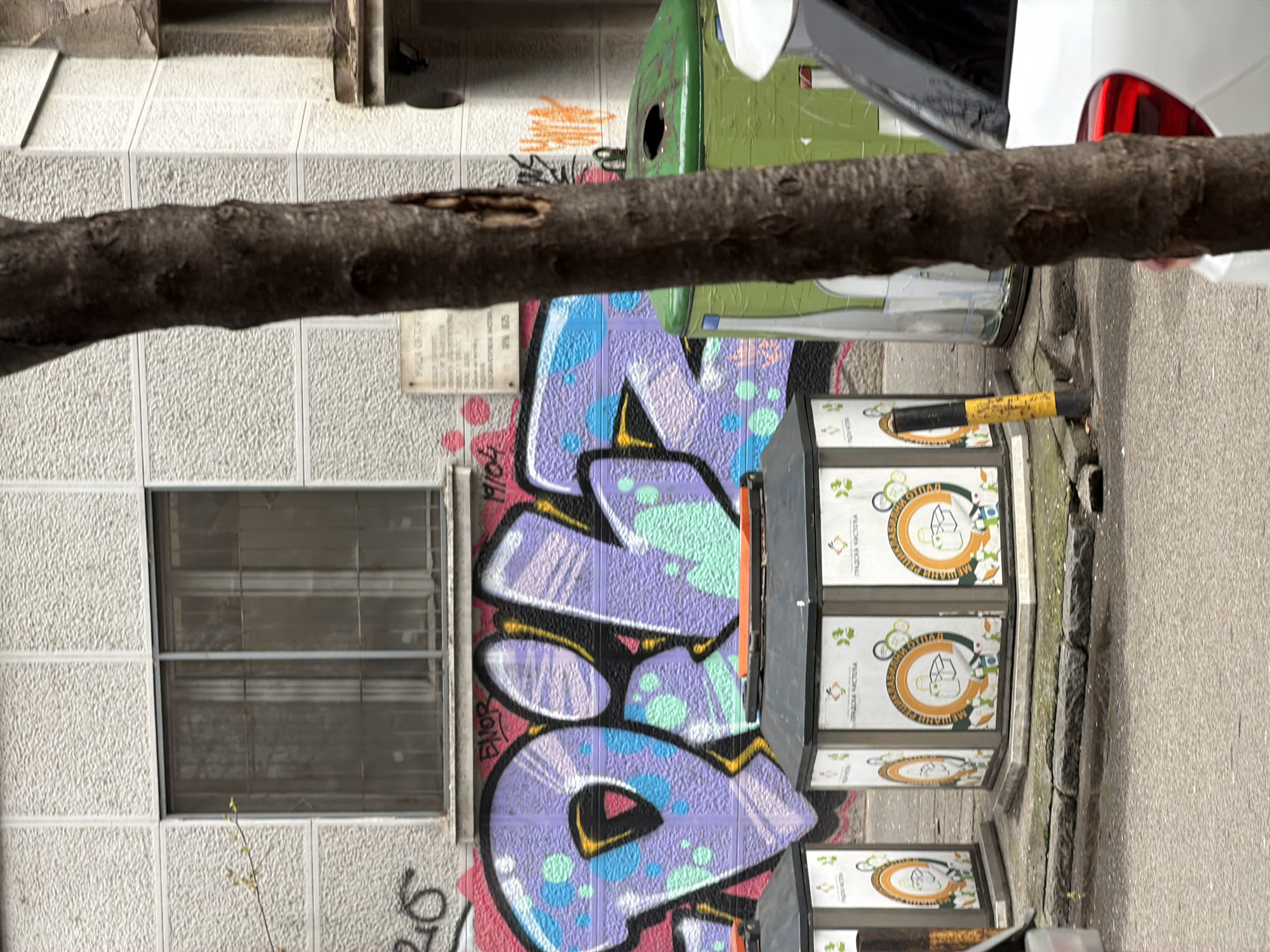 The image shows a street scene in Belgrade, Serbia. A tree branch is in the foreground, partially obscuring the view. Behind the branch, there is a building wall covered with graffiti, a window, a green trash container, and stacked recycling bins. A white car is parked nearby. The street is made of asphalt.
