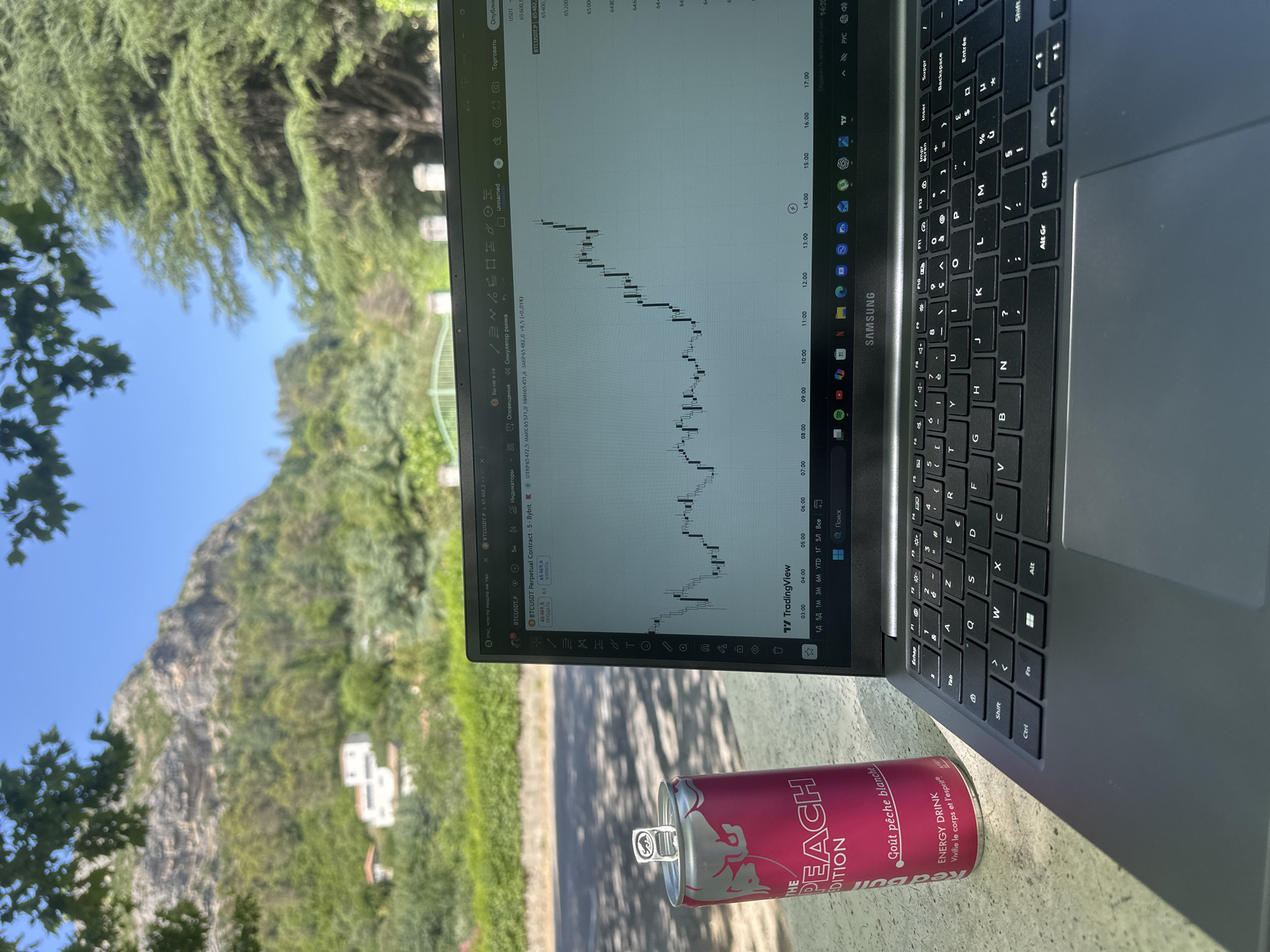 In the city of Unknown, Unknown, an open laptop displays a cryptocurrency trading chart on TradingView, specifically showing the BTCUSDT Perpetual Contract on Bybit. The chart indicates a rising price trend between 03:00 and 14:00. Beside the laptop sits a pink can of Red Bull "The Peach Edition" energy drink. The scene is set outdoors, with a blurred background of lush green trees, a mountain, and some white buildings, suggesting a sunny day. The laptop is a Samsung model.