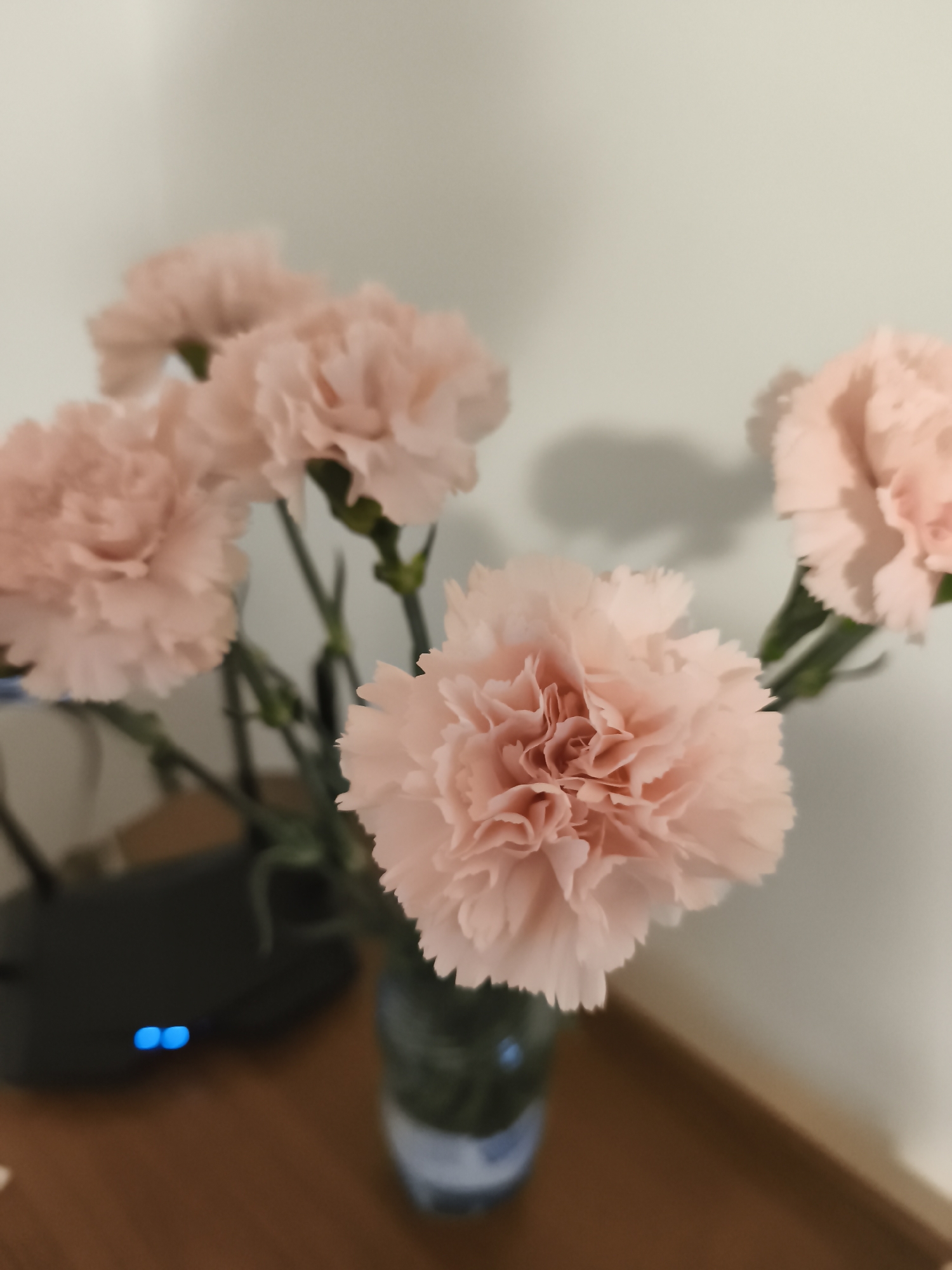 A bouquet of five light pink carnations is displayed in a dark glass vase on a wooden surface. The flowers are clustered together, with the central carnation in sharp focus, revealing its ruffled petals. Behind the flowers, a black router with two illuminated blue lights is visible, suggesting an indoor domestic setting. The background consists of a plain, light-colored wall, casting a soft shadow from the flowers. The overall scene is still and appears to be taken indoors. There is no visible information about the location in Słupia pod Bralinem, Poland.