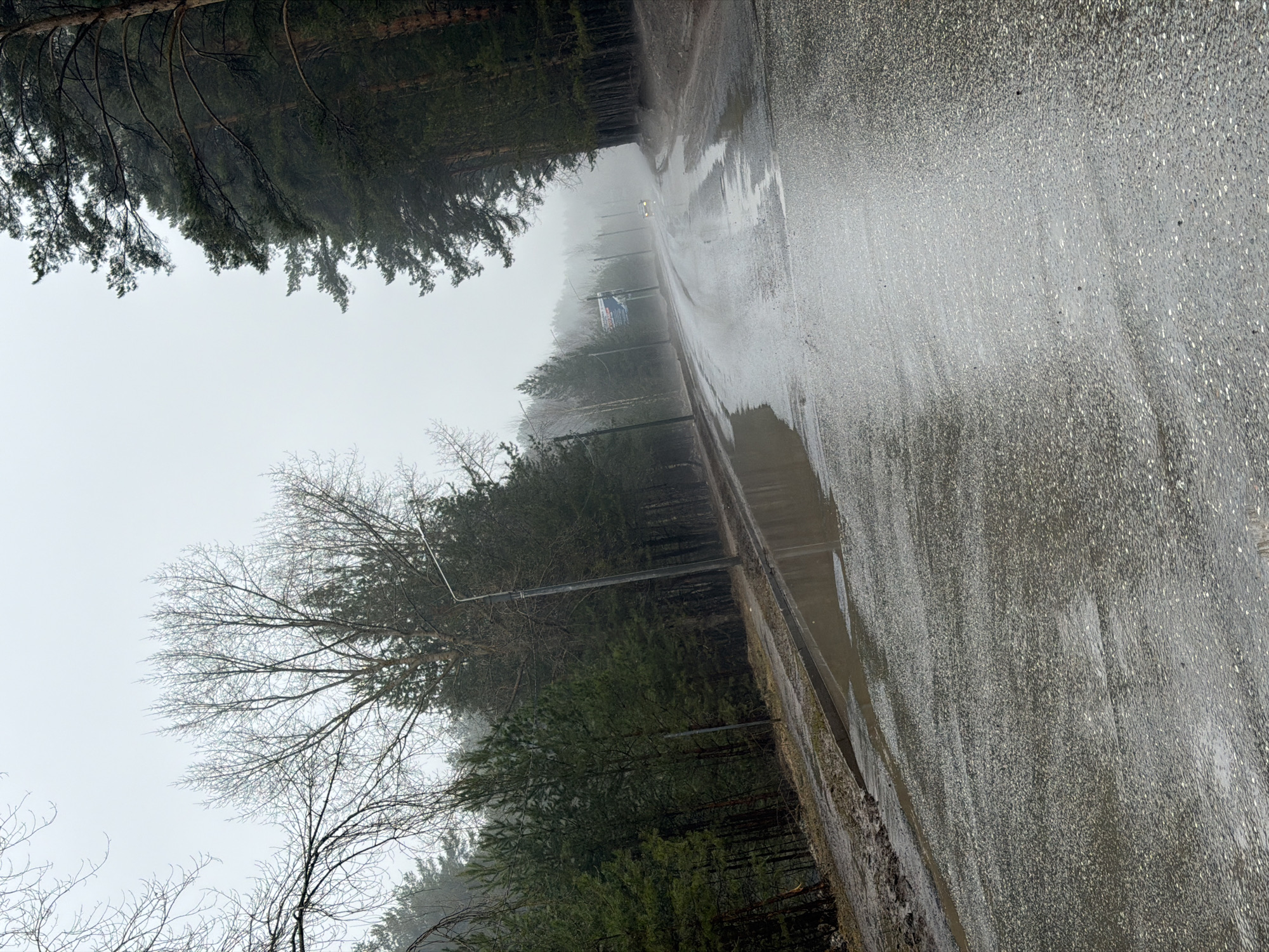 The image depicts a wet road running through a foggy forest. The road surface is gray and appears to be asphalt. Puddles are visible along the roadside. Tall trees line both sides of the road, their branches extending overhead. Some trees are evergreen, while others are bare. A light pole and a sign are visible in the distance. The scene suggests a rainy or misty day. The location is Chaikovsky, Russia.