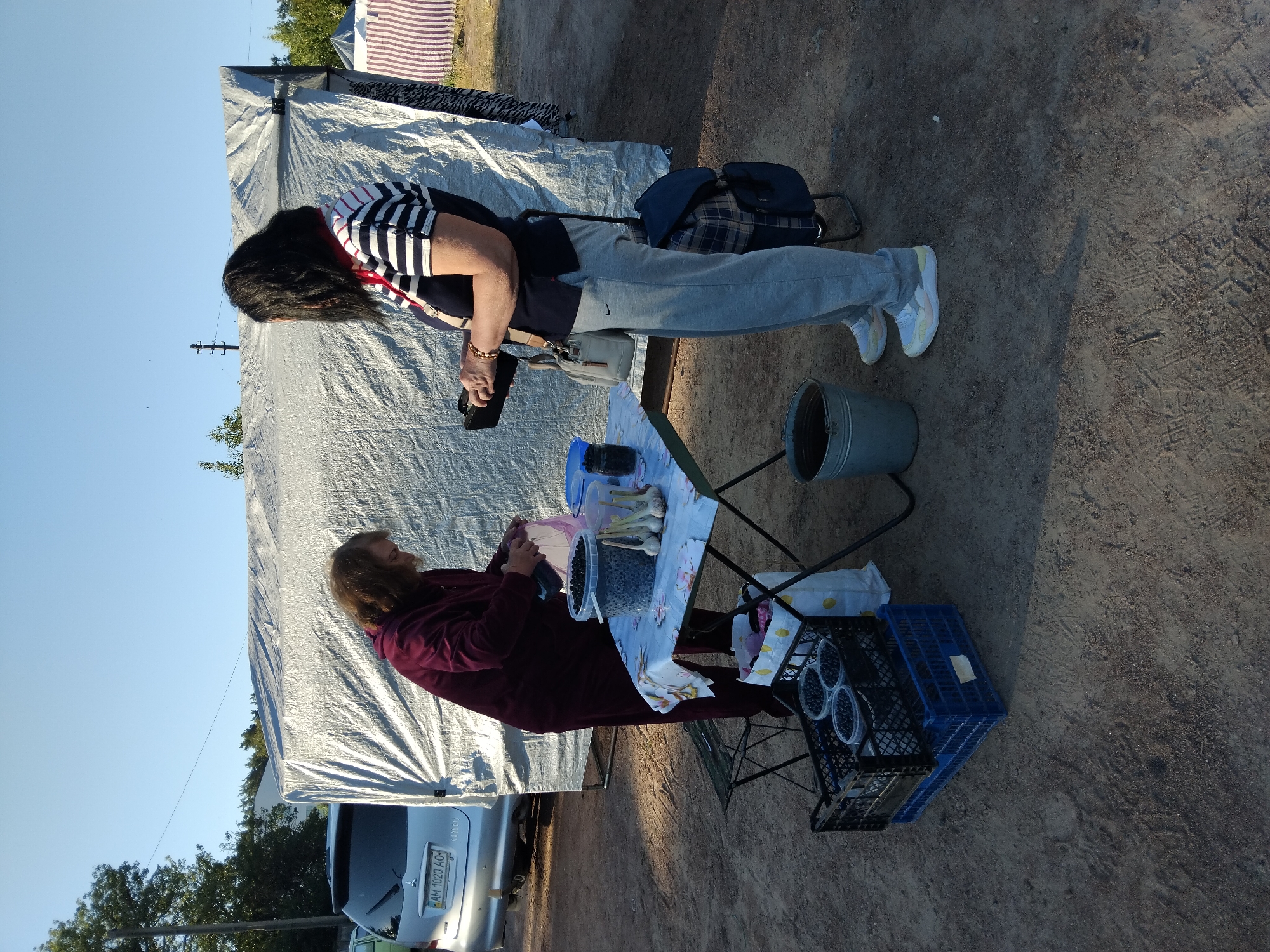 In Irshansk, Ukraine, a woman in a maroon tracksuit stands behind a table covered with a patterned cloth, pouring berries from a bag into a container. A second woman, wearing a striped shirt and gray sweatpants, stands opposite her, holding a dark object and a purse. On the table are containers of blueberries, garlic, and other items. In front of the table, to the left, are two crates of blueberries. A metal bucket is on the ground to the right of the table. A silver car is parked to the left of the scene, and a large, tarp-covered structure stands behind the people. The ground is dirt and gravel, and the sky is clear blue.