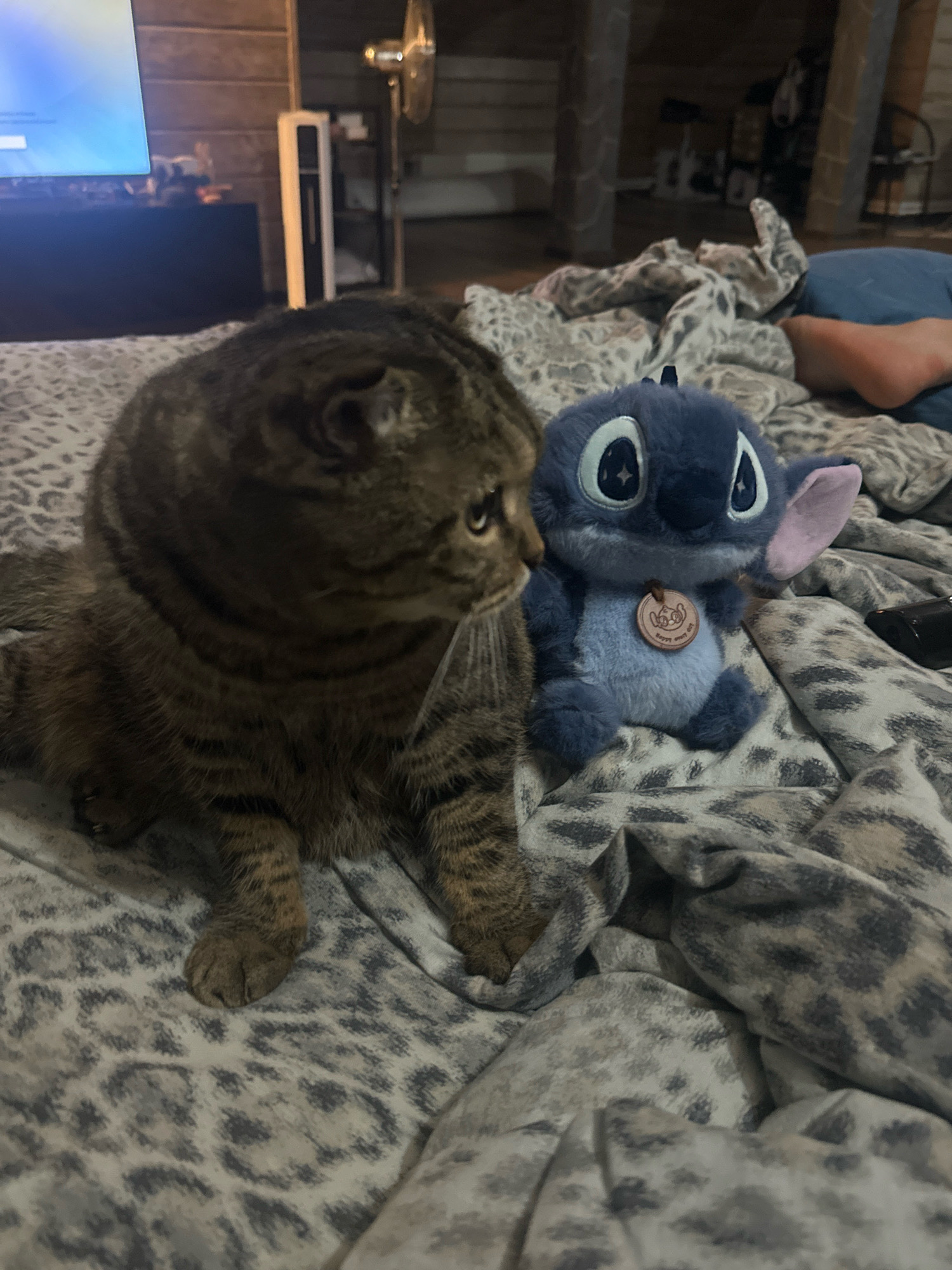 A brown tabby cat is lying on a bed next to a stuffed blue Stitch toy. The cat is on the left side of the image, facing right. The Stitch toy is on the right side of the image, facing forward. The bed is covered with a leopard-print blanket. In the background, a television screen is visible, as well as a fan and some shelves. The location is not specified.