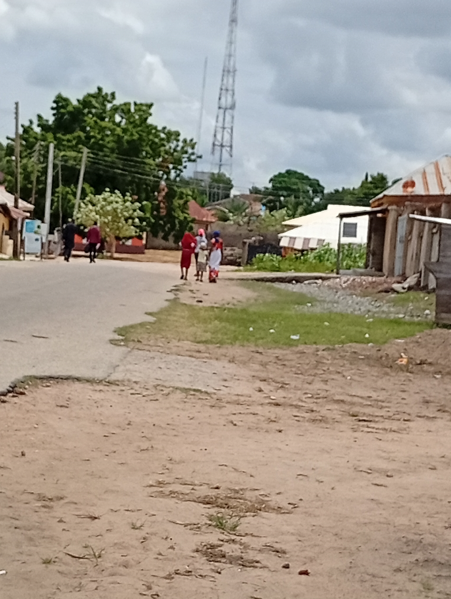 A medium shot depicts a group of people walking along a dirt road in an urban environment under an overcast sky. The road is unpaved and appears to be a local street, with a few buildings visible on either side. In the background, a tall communication tower stands prominently against the cloudy sky, suggesting the presence of infrastructure in the area. The scene is captured from a slightly elevated perspective, looking down onto the road and the figures.
The road itself is mostly dirt, with some patchy grass growing along the edges. The buildings on the right are simple structures, appearing to be homes or small businesses, made of corrugated metal and wood. The building on the left is partially visible and seems to be a small shop or residence. Trees with lush green foliage are scattered throughout the scene, adding to the natural elements of the urban landscape.
A group of five individuals are walking away from the camera on the road. Two individuals in the foreground on the right are wearing red and white clothing, with one also wearing a blue head covering. To their left, two individuals are walking away from the camera, one in a dark suit and the other in a burgundy jacket. The group appears to be casually walking together. The ground in the foreground is dry and dusty, with some sparse vegetation. The overall impression is a snapshot of everyday life in a community.