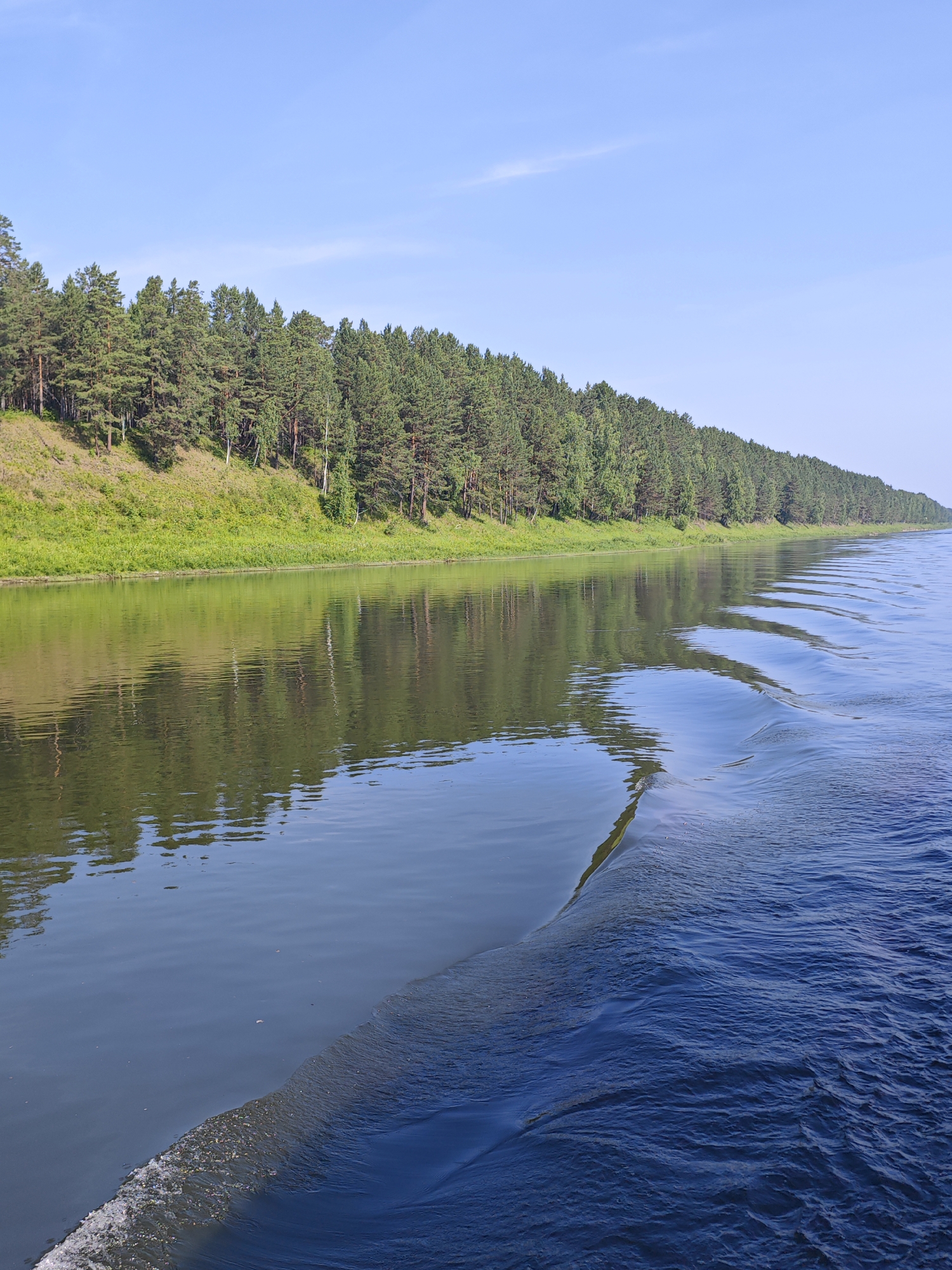 A wide, calm river flows towards the viewer, reflecting a lush green bank covered in pine trees and sparse grass. The sky above is a clear, bright blue with a few wispy white clouds. In the foreground, a wave trail from a moving boat cuts across the dark blue water, showing white foam where it breaks. The scene is serene and natural, typical of a river landscape in a rural area like Piskunovka, Russia.
