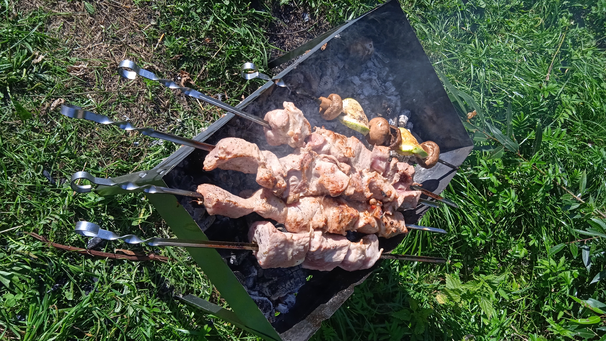 A close-up, overhead shot captures skewers of meat and vegetables cooking on a charcoal grill. The grill is a dark, rectangular metal brazier filled with glowing embers and ash, placed on a bed of green grass. Three skewers, each holding several pieces of marinated meat, are positioned horizontally across the grill. To the right of the meat, one skewer holds slices of zucchini and mushrooms. Wisps of smoke rise from the grill, indicating active cooking. The surrounding environment is a grassy area with dappled sunlight, suggesting an outdoor setting. The image is sharp and well-lit, focusing on the food and the cooking process. No people are visible in the frame. The scene is consistent with a barbecue, likely taking place in a park or backyard. The user's request for the location in Solnechnogorsk, Russia, cannot be independently verified from the visual information presented in the image.