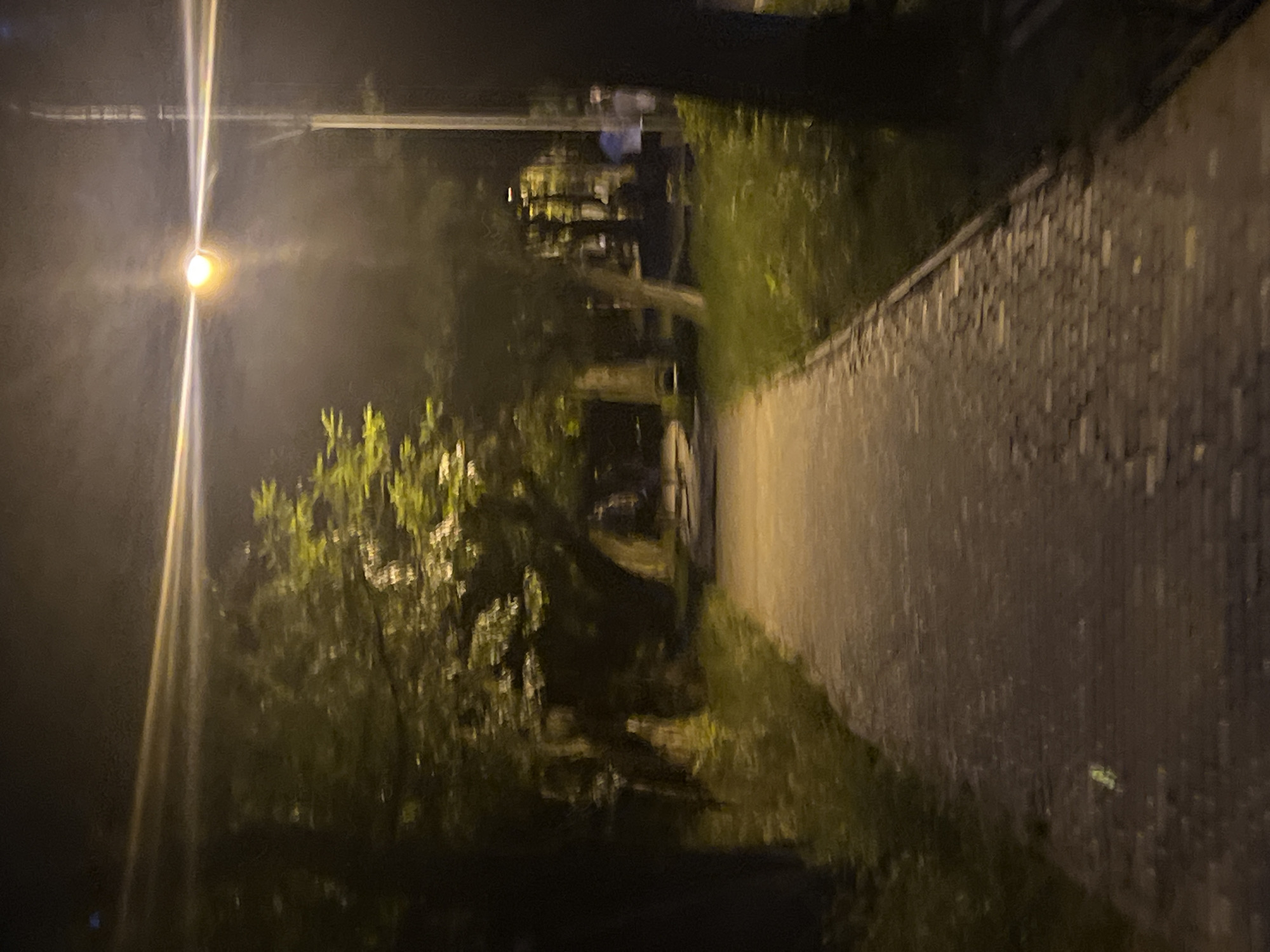 The image depicts a paved pathway in a park at night. A bright streetlamp illuminates the scene from the upper right, casting a glare across the sky and the surrounding trees. The path, constructed of cobblestones or similar material, leads into the distance, bordered by grass and foliage. Several trees are visible, with some having arched branches that create a canopy over parts of the path. In the background, a few blurred figures are present, suggesting the presence of people in the park. The overall impression is one of a peaceful, albeit dimly lit, urban park environment. The image does not provide specific details to identify the location within the city of Odesa, Ukraine.