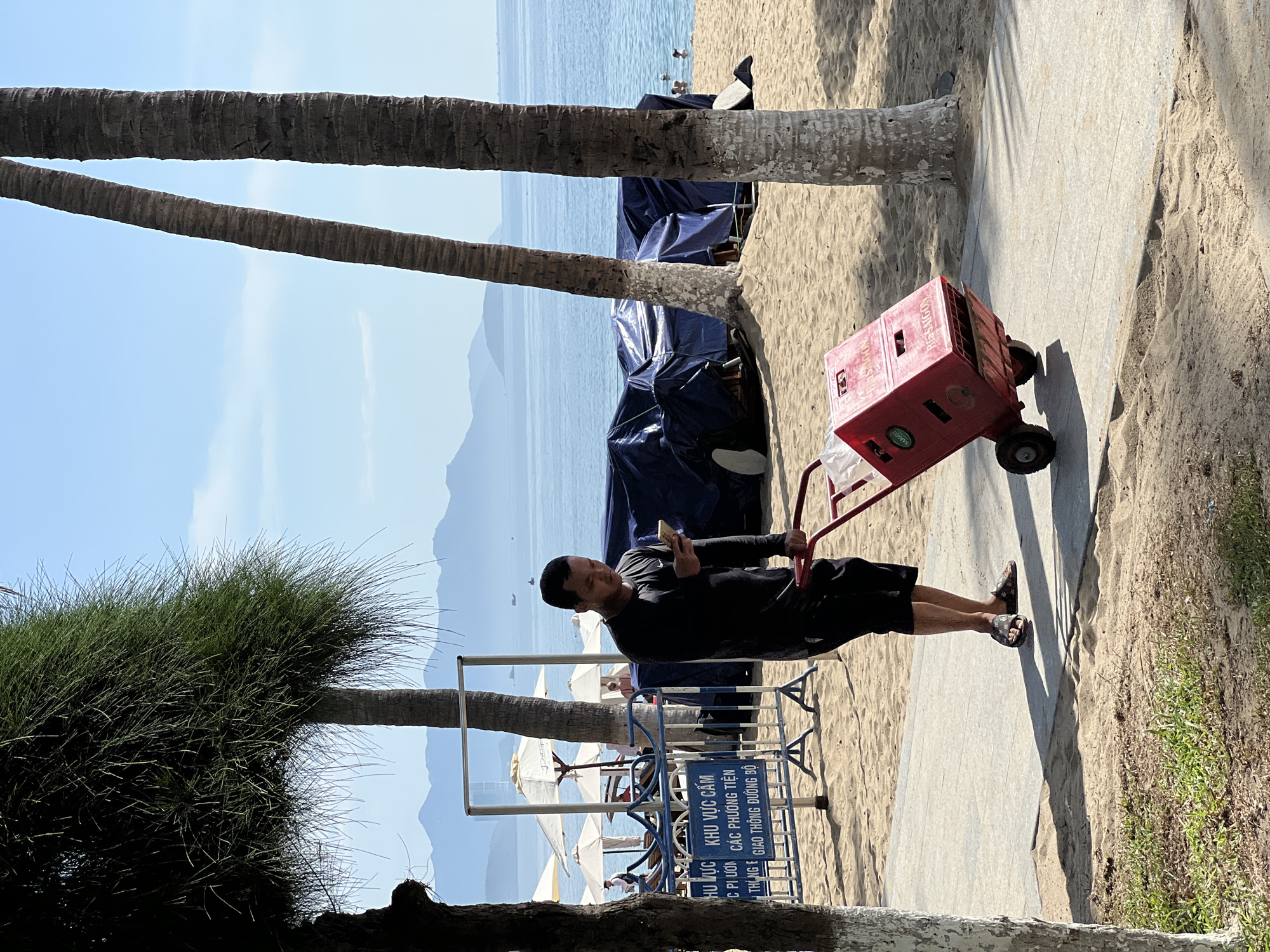 A man in a black long-sleeved shirt and shorts is pushing a red wheeled cart on a paved walkway at a beach. The cart contains white plastic bags and a red plastic crate with "Bia Saigon" visible on its side. He is looking down at his smartphone. The beach is sandy, with several white umbrellas and lounge chairs in the background. Two palm trees are prominent in the foreground, and mountains are visible in the distance across the sea. A blue barrier with Vietnamese text is also present near the man. This scene is typical of the beaches along Tran Phu Street in Nha Trang, Vietnam, a popular tourist destination.