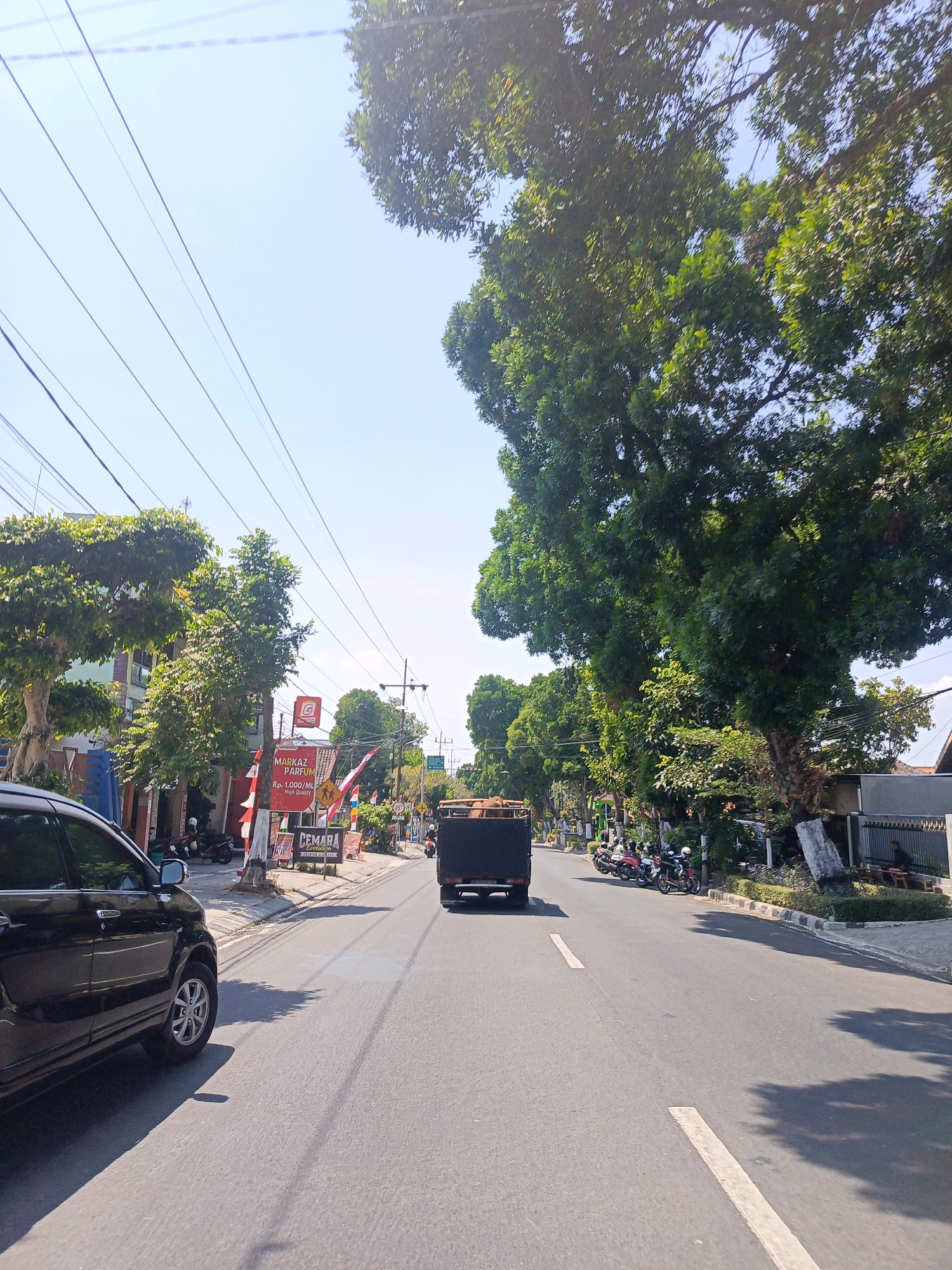 The image depicts a street scene in Candirejo, Indonesia, likely during the daytime under a clear sky. On the left side of the road, a black car is parked. The road itself is paved, with a white dashed line marking the center. A truck with an open back, carrying what appears to be wood or similar cargo, is driving away from the viewer in the right lane.
Along the sides of the road, there are numerous trees with dense green foliage, some casting shadows on the asphalt. Buildings and shops are visible on the left, with signage including "MARKAZ PARFUM" and "CEMARA." Several motorcycles are parked along the sidewalk in front of the buildings. Power lines are strung across the upper portion of the image. The overall impression is a moderately busy street in a town or city.