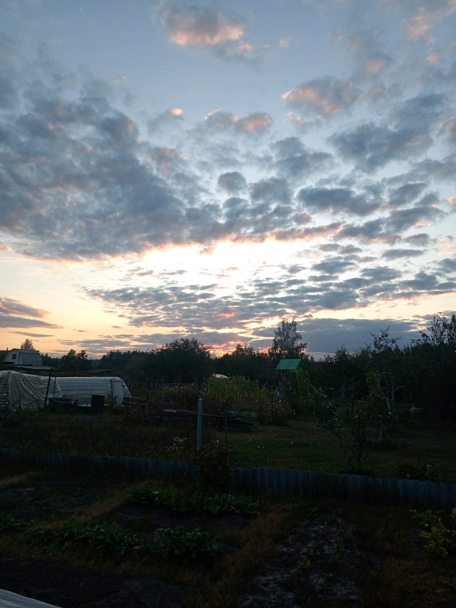 The image depicts a twilight scene in the village of Zhgunsky Selsoviet, Belarus. The sky is filled with a dramatic display of clouds, tinged with the orange and pink hues of the setting sun, contrasting with the darkening blue of the upper atmosphere. Below the sky, a silhouette of trees forms a dense line across the horizon, with a few structures visible within or behind them. In the foreground, a rural landscape unfolds, featuring what appears to be a garden or cultivated land. Several structures are present, including a white, tent-like structure, possibly a greenhouse or storage unit, and a small green-roofed building. A corrugated fence runs horizontally across the mid-ground, separating the garden area from the scene above. The overall impression is one of a peaceful, rural evening.