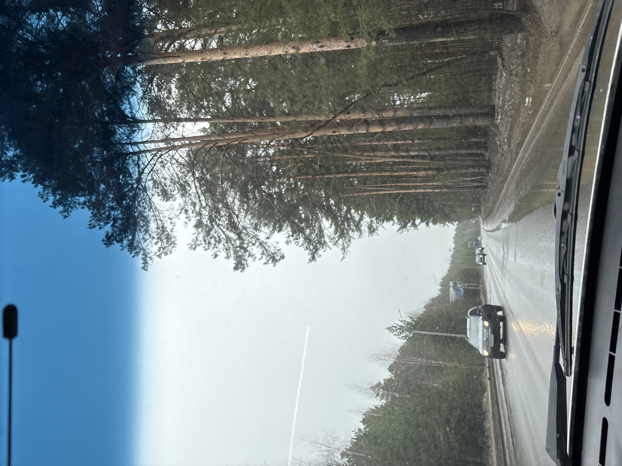 The image, taken from inside a vehicle in Chaikovsky, Russia, shows a road bordered by tall pine trees on both sides. The road surface is wet, and several vehicles are visible on the road ahead. A black car is in close proximity. The sky is overcast. A blue-tinted windshield is partially visible in the left foreground. A windshield wiper is also visible.
