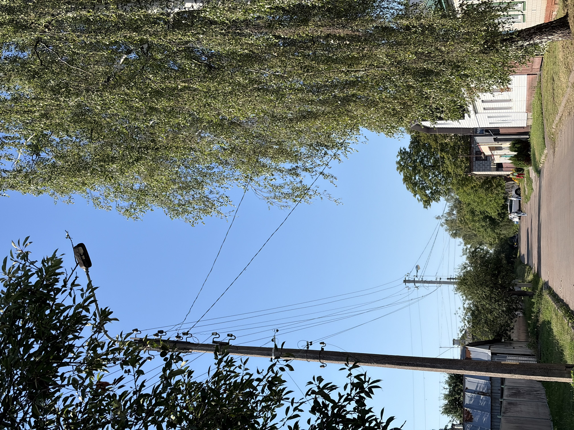 The image shows a street scene in Chernihiv, Ukraine. A paved road runs from the foreground towards the horizon, lined with houses on the right and a fence and vegetation on the left. A tall, wooden utility pole with electrical wires is prominent on the left side of the road in the foreground, with a street light attached to it. A large birch tree with drooping branches dominates the right side of the image, partially obscuring the white-sided houses. Further down the street, there are other trees, utility poles, and parked vehicles. Two individuals are visible walking on the left side of the road in the middle distance. The sky is clear and blue.
