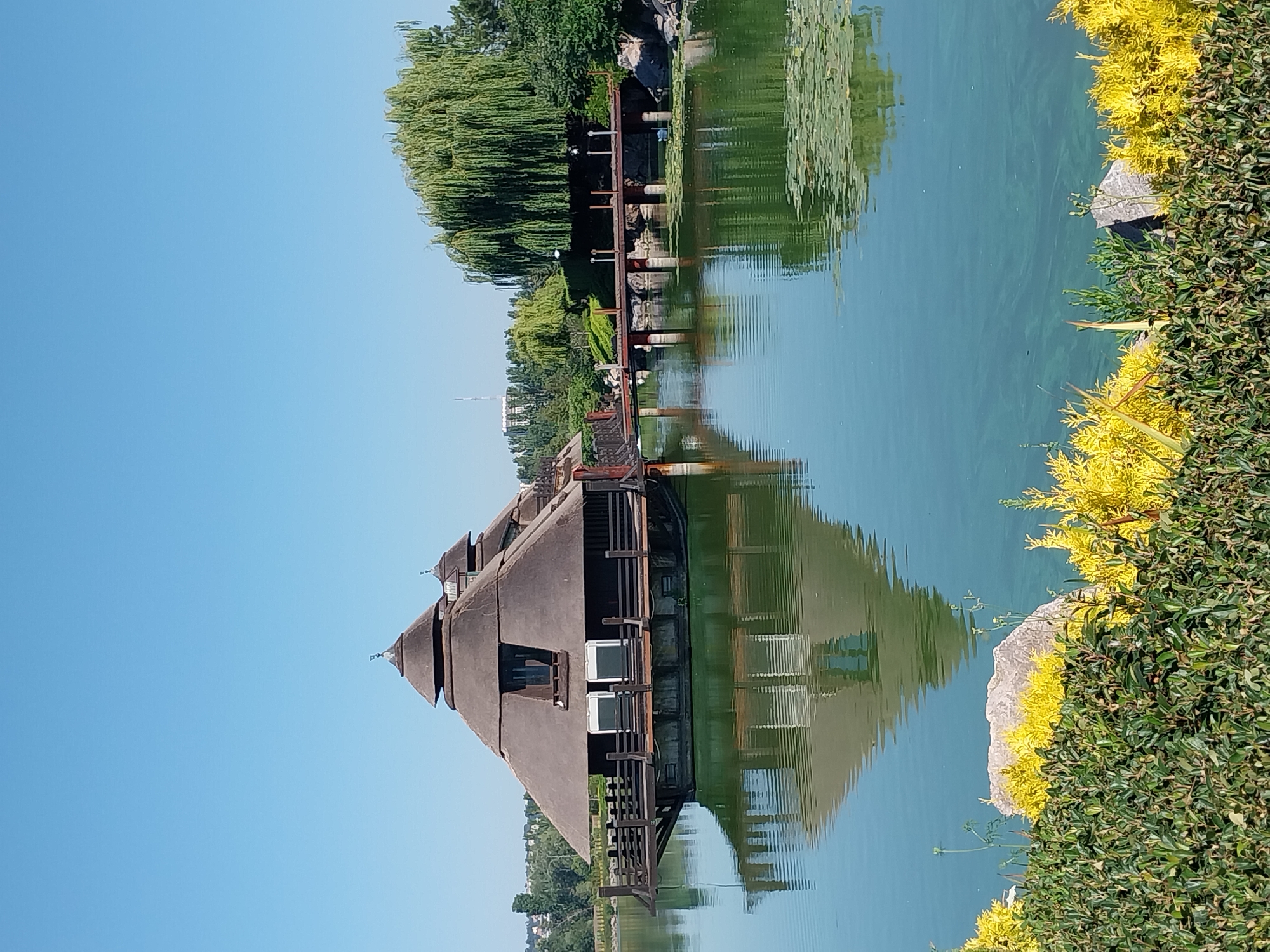 The image depicts a scenic view of a building with a thatched roof situated on a lake, likely within a park or botanical garden in Dnipro, Ukraine. The building, appearing to be a restaurant or pavilion, features a distinctive multi-tiered conical roof and is accessed by a wooden bridge. The lake's surface reflects the building and surrounding lush greenery, including a weeping willow tree, a stone bridge, and various bushes and flowers in the foreground. The sky is clear and blue, suggesting a sunny day. The environment is serene and well-maintained, indicative of a recreational area.
